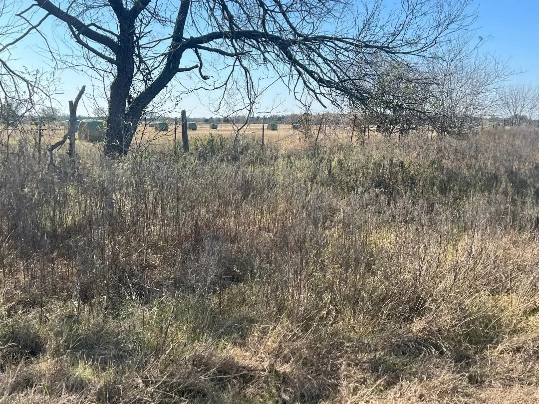 Ranch For Sale in Limestone County , 0000 LCR 454, Groesbeck, Texas 76642, 0, 0, Garage spaces, 0 Sqft, built in 0, mls#21381584, Real Estate Agent in Groesbeck, Homes For Sale in Limestone county, Homes For Sale in Groesbeck, Realtor in Groesbeck Texas, Real Estate Brokerage Independent Realty Texas, Luminita Cordes Realtor