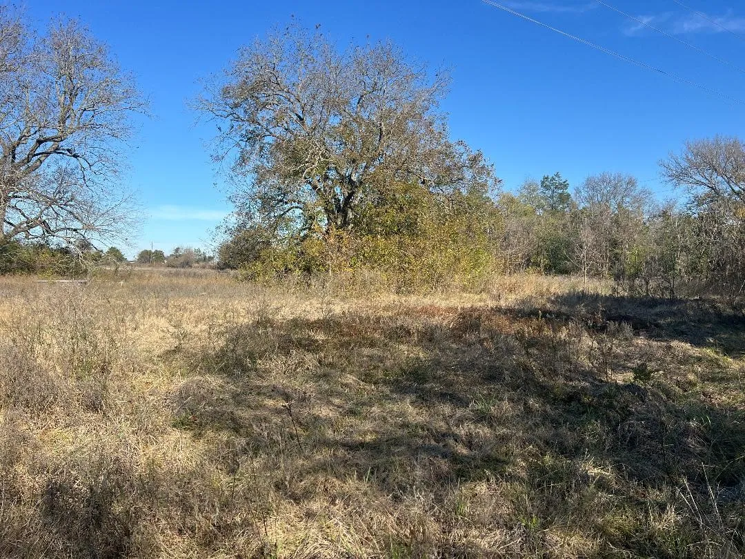 Ranch For Sale in Limestone County , 0000 LCR 454, Groesbeck, Texas 76642, 0, 0, Garage spaces, 0 Sqft, built in 0, mls#21381584, Real Estate Agent in Groesbeck, Homes For Sale in Limestone county, Homes For Sale in Groesbeck, Realtor in Groesbeck Texas, Real Estate Brokerage Independent Realty Texas, Luminita Cordes Realtor