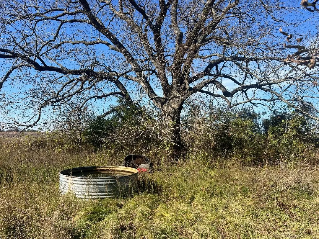 Ranch For Sale in Limestone County , 0000 LCR 454, Groesbeck, Texas 76642, 0, 0, Garage spaces, 0 Sqft, built in 0, mls#21381584, Real Estate Agent in Groesbeck, Homes For Sale in Limestone county, Homes For Sale in Groesbeck, Realtor in Groesbeck Texas, Real Estate Brokerage Independent Realty Texas, Luminita Cordes Realtor