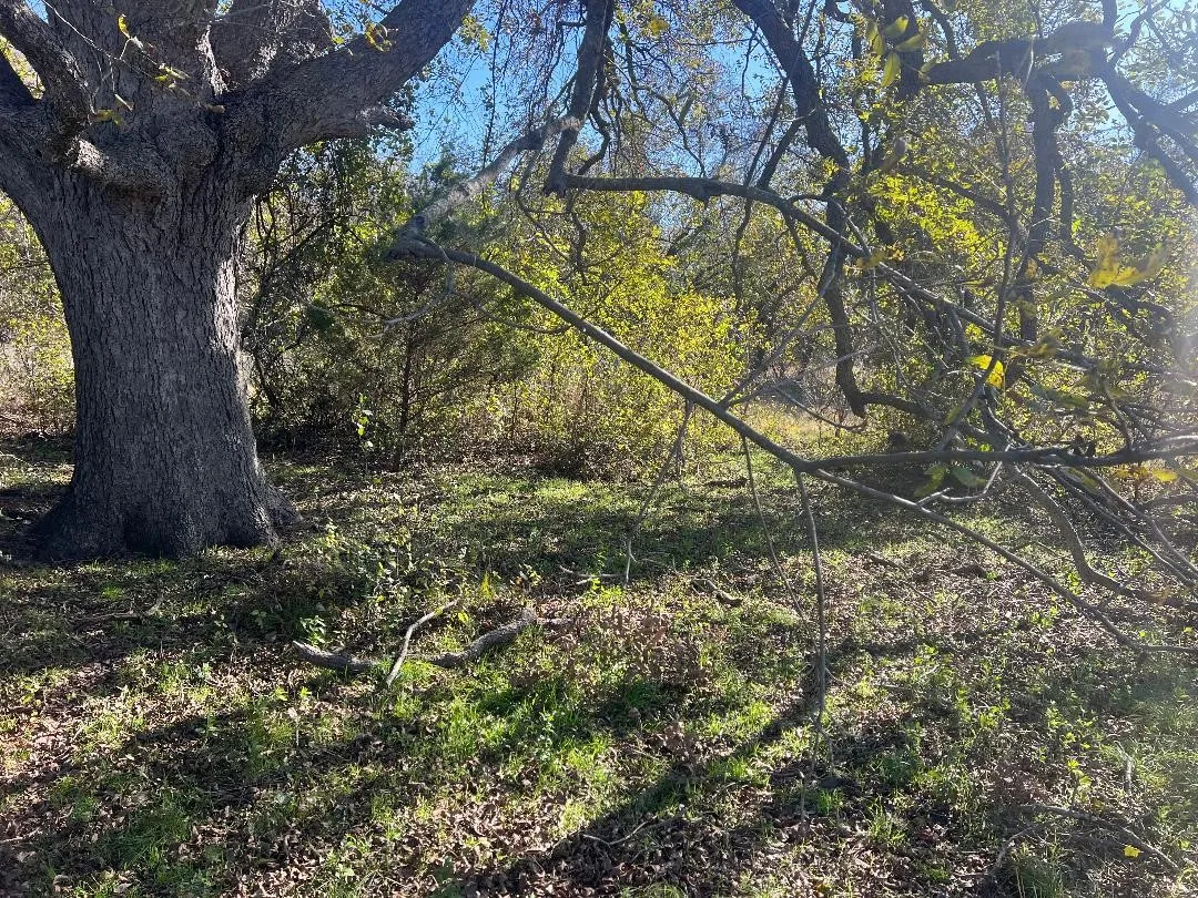 Ranch For Sale in Limestone County , 0000 LCR 454, Groesbeck, Texas 76642, 0, 0, Garage spaces, 0 Sqft, built in 0, mls#21381584, Real Estate Agent in Groesbeck, Homes For Sale in Limestone county, Homes For Sale in Groesbeck, Realtor in Groesbeck Texas, Real Estate Brokerage Independent Realty Texas, Luminita Cordes Realtor