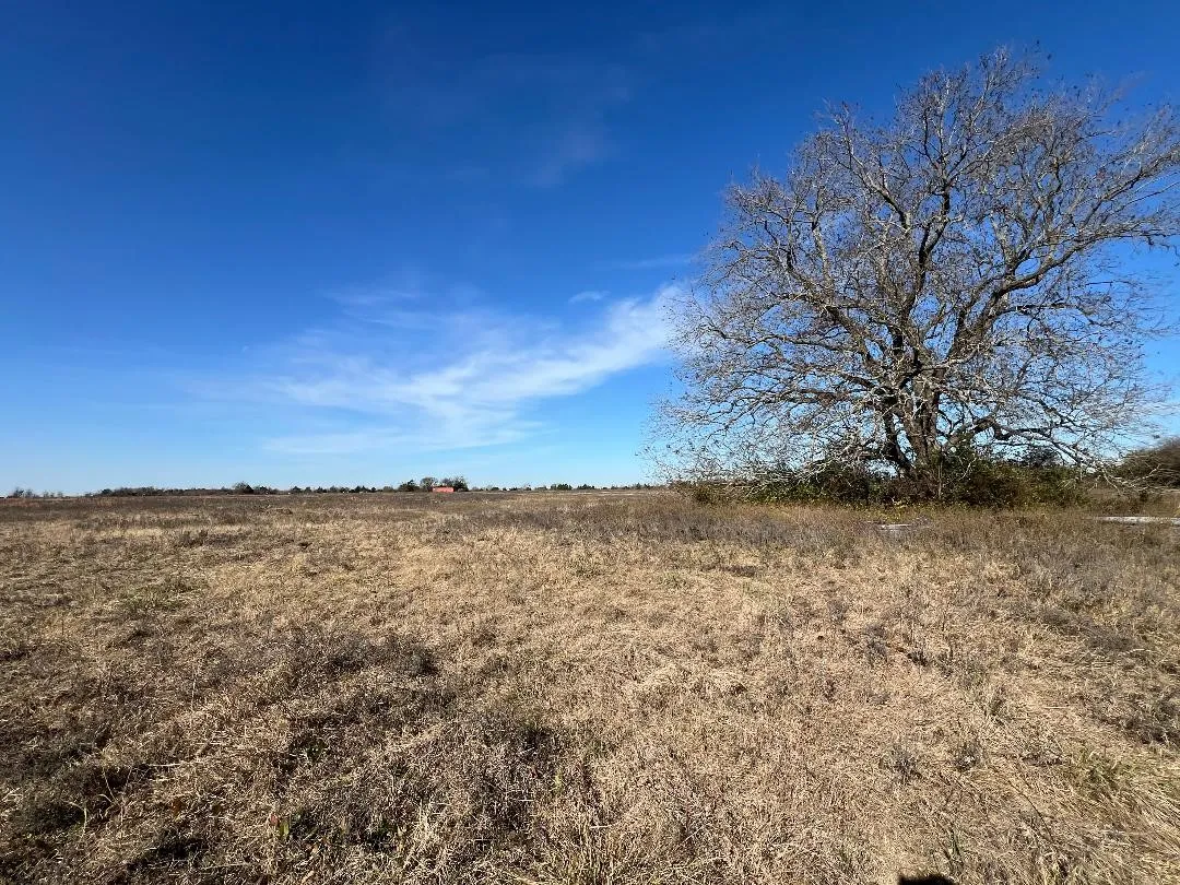 Ranch For Sale in Limestone County , 0000 LCR 454, Groesbeck, Texas 76642, 0, 0, Garage spaces, 0 Sqft, built in 0, mls#21381584, Real Estate Agent in Groesbeck, Homes For Sale in Limestone county, Homes For Sale in Groesbeck, Realtor in Groesbeck Texas, Real Estate Brokerage Independent Realty Texas, Luminita Cordes Realtor