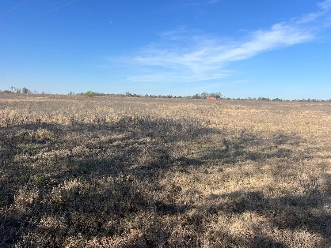 Ranch For Sale in Limestone County , 0000 LCR 454, Groesbeck, Texas 76642, 0, 0, Garage spaces, 0 Sqft, built in 0, mls#21381584, Real Estate Agent in Groesbeck, Homes For Sale in Limestone county, Homes For Sale in Groesbeck, Realtor in Groesbeck Texas, Real Estate Brokerage Independent Realty Texas, Luminita Cordes Realtor