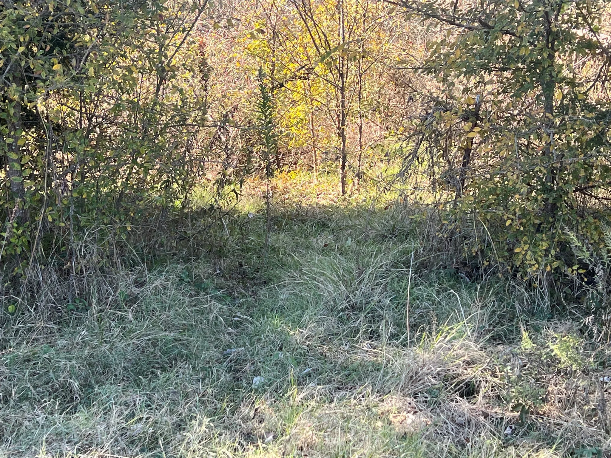 Ranch For Sale in Limestone County , 0000 LCR 454, Groesbeck, Texas 76642, 0, 0, Garage spaces, 0 Sqft, built in 0, mls#21381584, Real Estate Agent in Groesbeck, Homes For Sale in Limestone county, Homes For Sale in Groesbeck, Realtor in Groesbeck Texas, Real Estate Brokerage Independent Realty Texas, Luminita Cordes Realtor