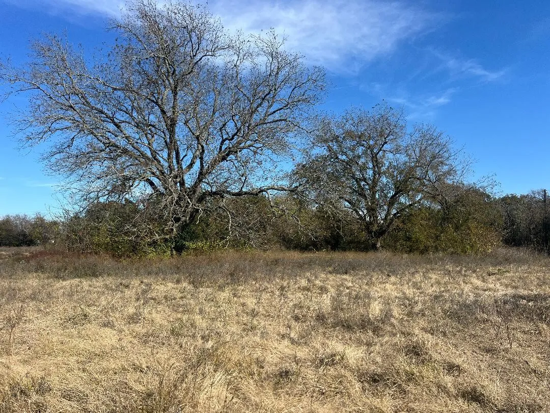 Ranch For Sale in Limestone County , 0000 LCR 454, Groesbeck, Texas 76642, 0, 0, Garage spaces, 0 Sqft, built in 0, mls#21381584, Real Estate Agent in Groesbeck, Homes For Sale in Limestone county, Homes For Sale in Groesbeck, Realtor in Groesbeck Texas, Real Estate Brokerage Independent Realty Texas, Luminita Cordes Realtor