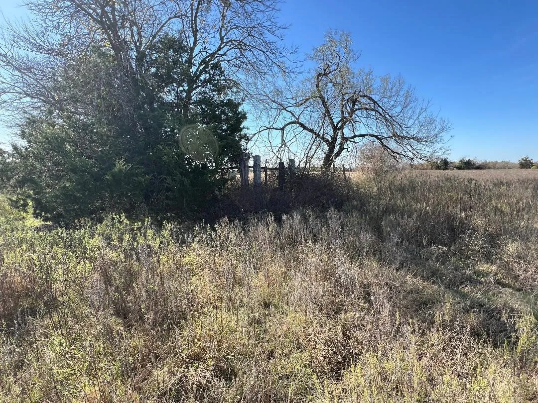 Ranch For Sale in Limestone County , 0000 LCR 454, Groesbeck, Texas 76642, 0, 0, Garage spaces, 0 Sqft, built in 0, mls#21381584, Real Estate Agent in Groesbeck, Homes For Sale in Limestone county, Homes For Sale in Groesbeck, Realtor in Groesbeck Texas, Real Estate Brokerage Independent Realty Texas, Luminita Cordes Realtor