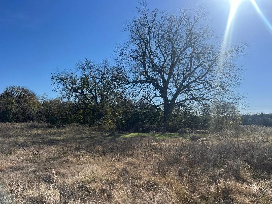Ranch For Sale in Limestone County , 0000 LCR 454, Groesbeck, Texas 76642, 0, 0, Garage spaces, 0 Sqft, built in 0, mls#21381584, Real Estate Agent in Groesbeck, Homes For Sale in Limestone county, Homes For Sale in Groesbeck, Realtor in Groesbeck Texas, Real Estate Brokerage Independent Realty Texas, Luminita Cordes Realtor