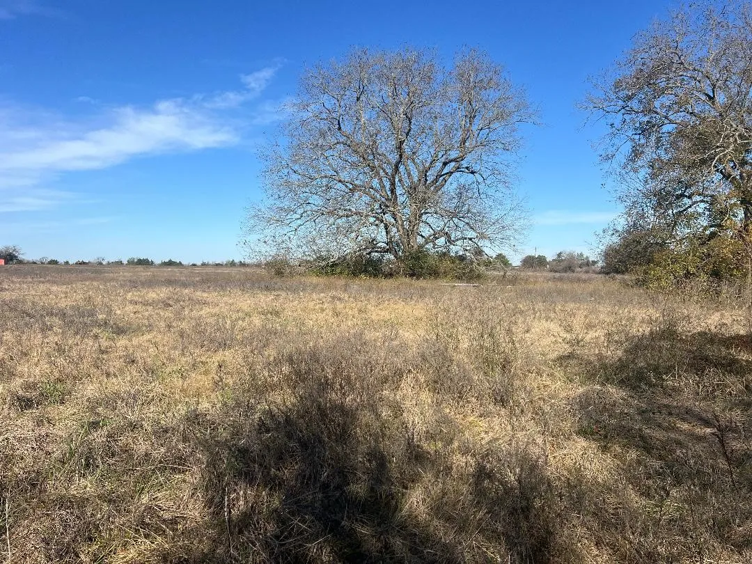 Ranch For Sale in Limestone County , 0000 LCR 454, Groesbeck, Texas 76642, 0, 0, Garage spaces, 0 Sqft, built in 0, mls#21381584, Real Estate Agent in Groesbeck, Homes For Sale in Limestone county, Homes For Sale in Groesbeck, Realtor in Groesbeck Texas, Real Estate Brokerage Independent Realty Texas, Luminita Cordes Realtor