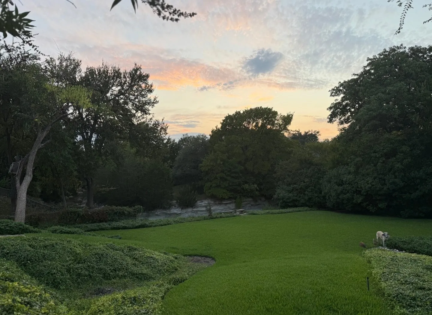 Single Family Residence For Rent in Collin County , 7105 Winding Creek Road, Dallas, Texas 75252, 3 Bedroom, 3 Bathroom, 2 Garage spaces, 2,304 Sqft, built in 1973, mls#21379649, Real Estate Agent in Dallas, Homes For Rent in Collin county, Homes For Rent in Dallas, Realtor in Dallas Texas, Real Estate Brokerage Independent Realty Texas, Luminita Cordes Realtor