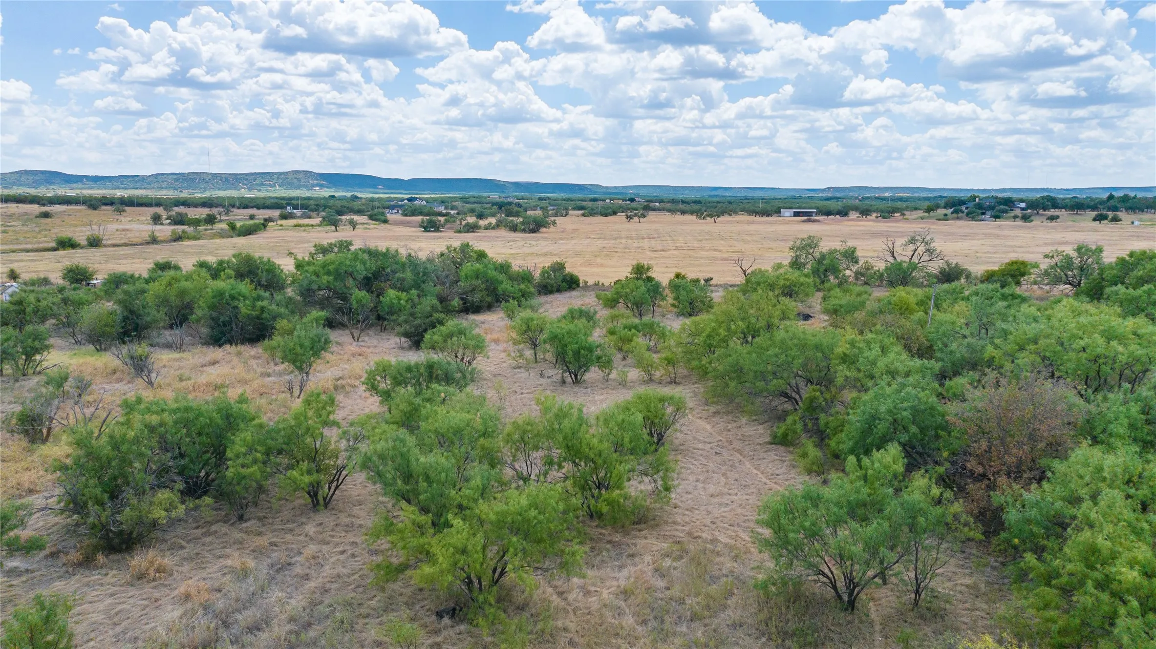 Unimproved Land For Sale in Taylor County , 209 Fawn Lane, Abilene, Texas 79602, 0, 0, Garage spaces, 0 Sqft, built in 0, mls#21381592, Real Estate Agent in Abilene, Homes For Sale in Taylor county, Homes For Sale in Abilene, Realtor in Abilene Texas, Real Estate Brokerage Independent Realty Texas, Luminita Cordes Realtor