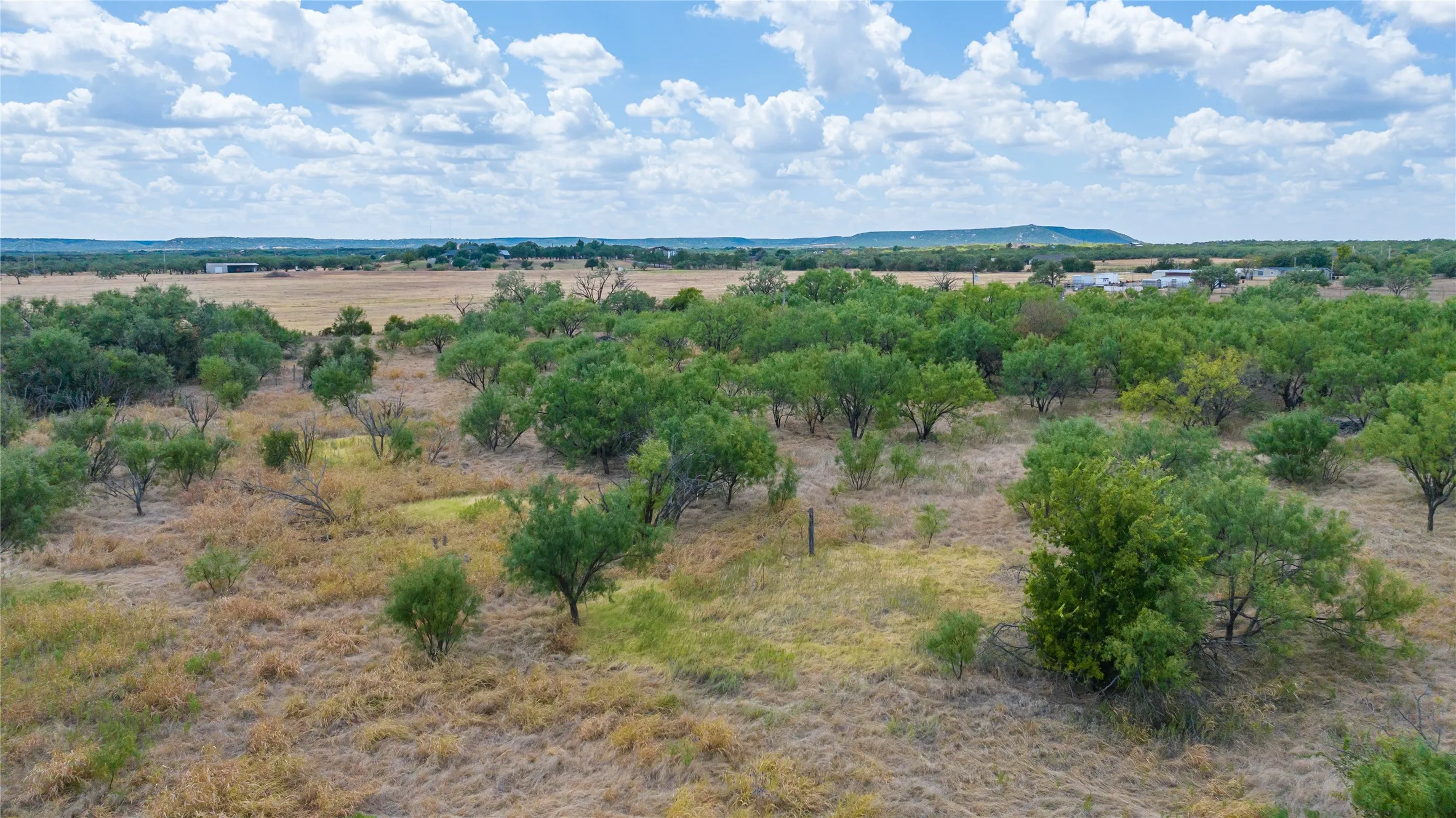 Unimproved Land For Sale in Taylor County , 209 Fawn Lane, Abilene, Texas 79602, 0, 0, Garage spaces, 0 Sqft, built in 0, mls#21381592, Real Estate Agent in Abilene, Homes For Sale in Taylor county, Homes For Sale in Abilene, Realtor in Abilene Texas, Real Estate Brokerage Independent Realty Texas, Luminita Cordes Realtor