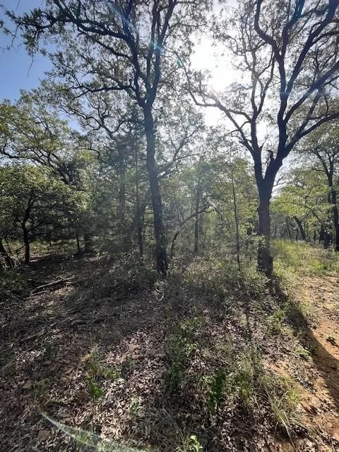 Improved Land For Sale in Montague County , 657 Sandy Creek Road, Bowie, Texas 76230, 0, 0, Garage spaces, 0 Sqft, built in 0, mls#21381638, Real Estate Agent in Bowie, Homes For Sale in Montague county, Homes For Sale in Bowie, Realtor in Bowie Texas, Real Estate Brokerage Independent Realty Texas, Luminita Cordes Realtor