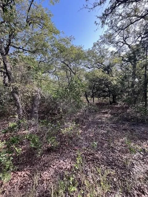 Improved Land For Sale in Montague County , 657 Sandy Creek Road, Bowie, Texas 76230, 0, 0, Garage spaces, 0 Sqft, built in 0, mls#21381638, Real Estate Agent in Bowie, Homes For Sale in Montague county, Homes For Sale in Bowie, Realtor in Bowie Texas, Real Estate Brokerage Independent Realty Texas, Luminita Cordes Realtor