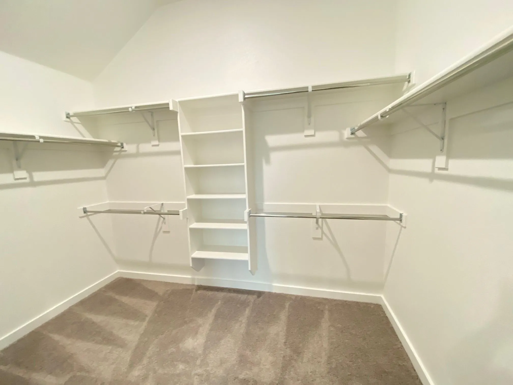 Expansive closet featuring integrated shelving, hanging rods, and neutral-toned carpet flooring