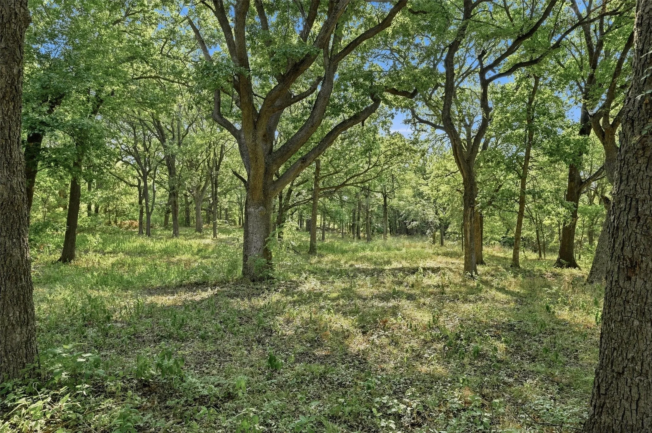 Mobile Home For Sale in Grayson County , 274 N Washburn Road, Bells, Texas 75414, 4 Bedroom, 2 Bathroom, Garage spaces, 1,768 Sqft, built in 2019, mls#21370007, Real Estate Agent in Bells, Homes For Sale in Grayson county, Homes For Sale in Bells, Realtor in Bells Texas, Real Estate Brokerage Independent Realty Texas, Luminita Cordes Realtor