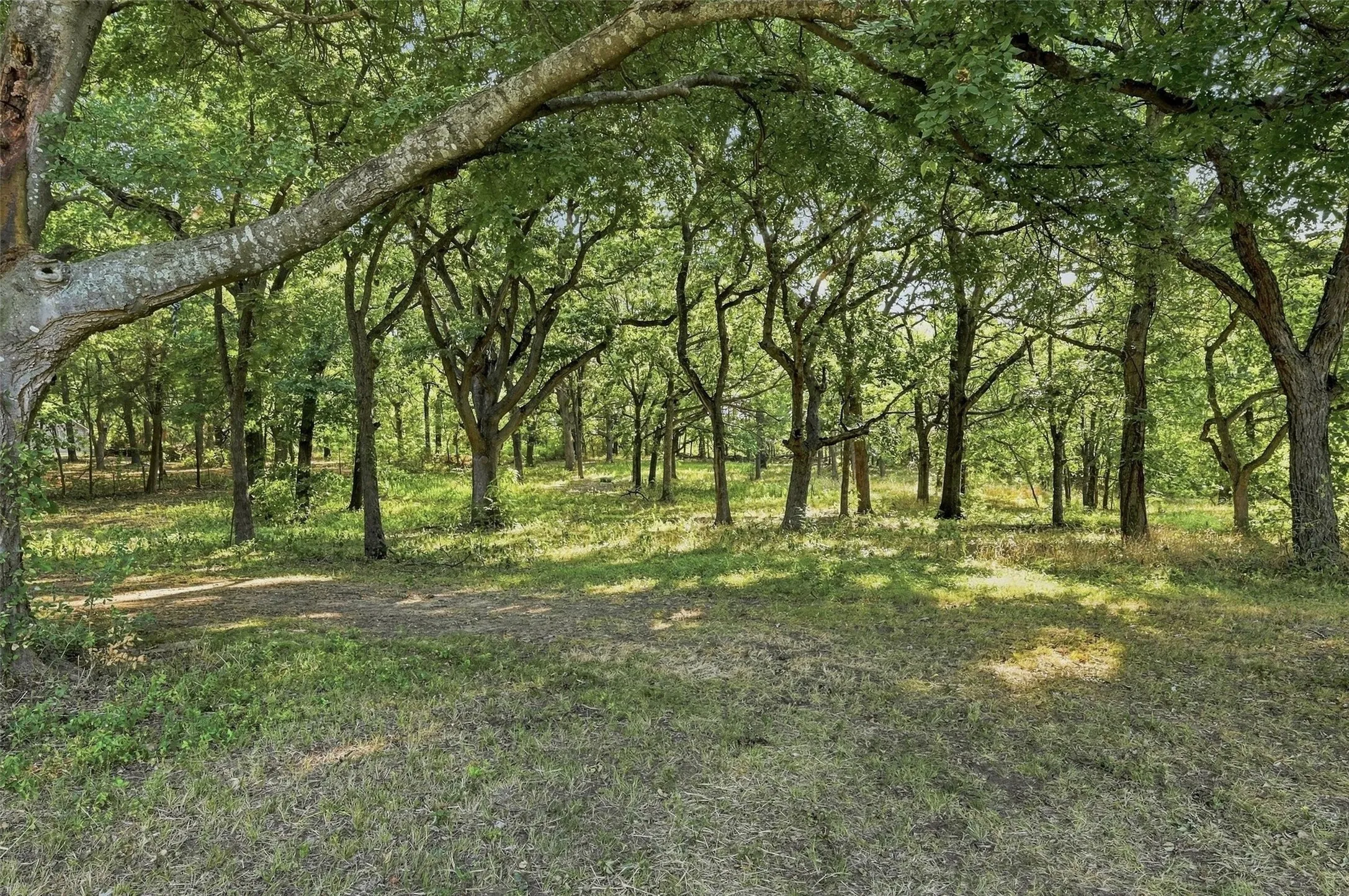 Mobile Home For Sale in Grayson County , 274 N Washburn Road, Bells, Texas 75414, 4 Bedroom, 2 Bathroom, Garage spaces, 1,768 Sqft, built in 2019, mls#21370007, Real Estate Agent in Bells, Homes For Sale in Grayson county, Homes For Sale in Bells, Realtor in Bells Texas, Real Estate Brokerage Independent Realty Texas, Luminita Cordes Realtor