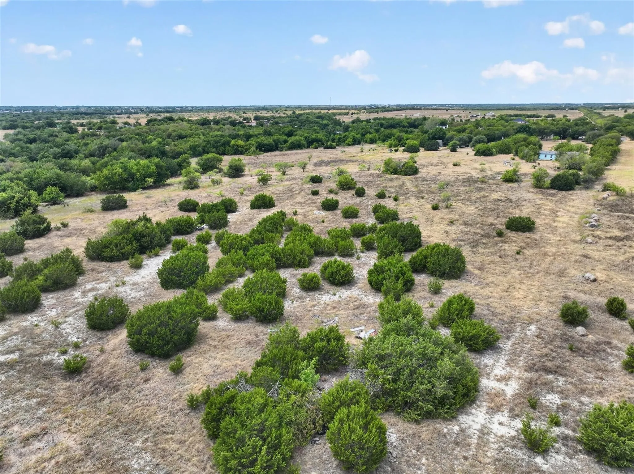 Expansive land with a mix of dry grass and scattered green shrubs, featuring a distant line of mature trees and a clear sky with clouds