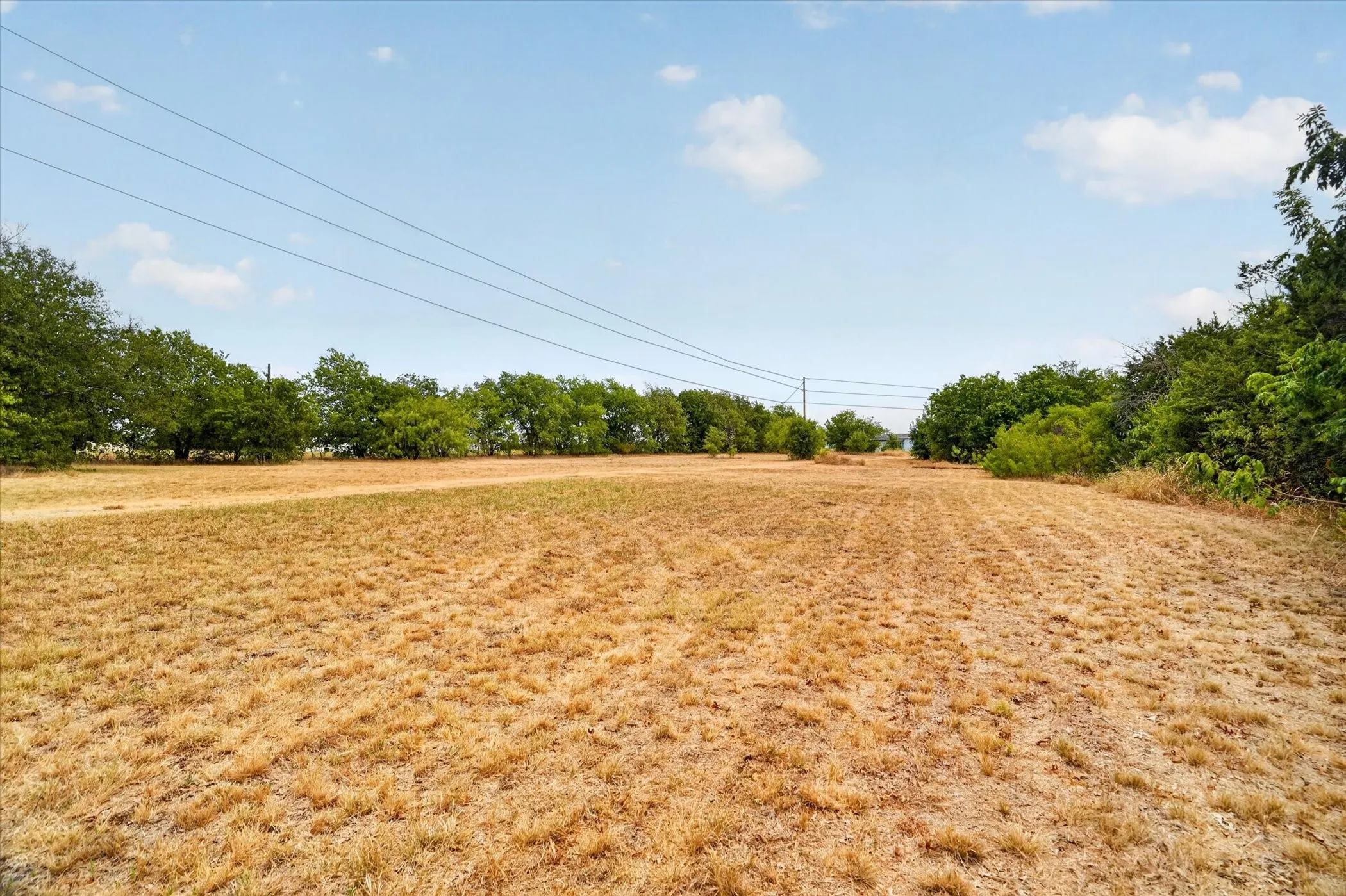 Expansive open land with natural tree lines