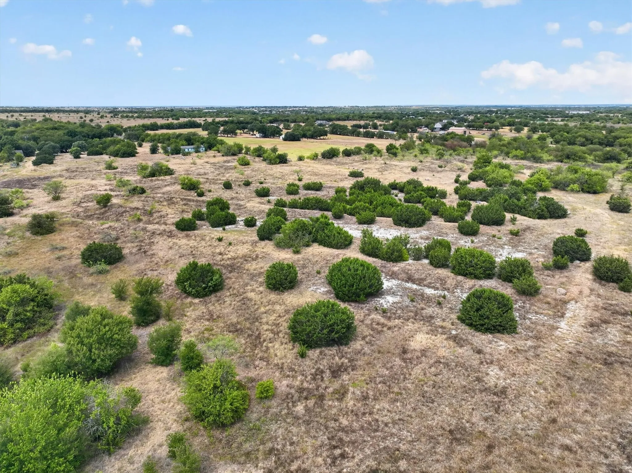 Expansive land parcel featuring native vegetation and scattered trees