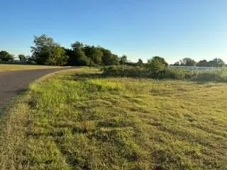 Unimproved Land For Sale in Henderson County , 101 Lea Dr, Gun Barrel City, Texas 75156, 0, 0, Garage spaces, 0 Sqft, built in 0, mls#21381697, Real Estate Agent in Gun Barrel City, Homes For Sale in Henderson county, Homes For Sale in Gun Barrel City, Realtor in Gun Barrel City Texas, Real Estate Brokerage Independent Realty Texas, Luminita Cordes Realtor