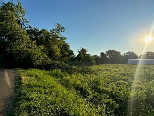 Unimproved Land For Sale in Henderson County , 101 Lea Dr, Gun Barrel City, Texas 75156, 0, 0, Garage spaces, 0 Sqft, built in 0, mls#21381697, Real Estate Agent in Gun Barrel City, Homes For Sale in Henderson county, Homes For Sale in Gun Barrel City, Realtor in Gun Barrel City Texas, Real Estate Brokerage Independent Realty Texas, Luminita Cordes Realtor