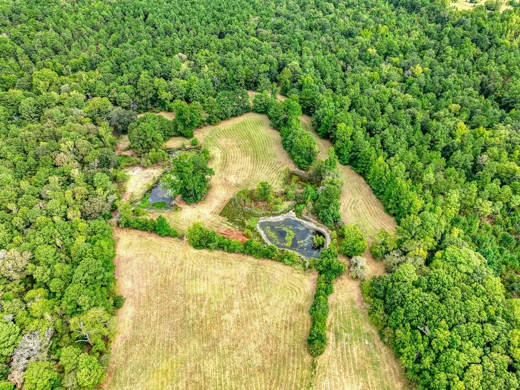 Single Family Residence For Sale in Anderson County , 4233 An County Road 163, Palestine, Texas 75801, 4 Bedroom, 2 Bathroom, 2 Garage spaces, 1,624 Sqft, built in 1900, mls#21381698, Real Estate Agent in Palestine, Homes For Sale in Anderson county, Homes For Sale in Palestine, Realtor in Palestine Texas, Real Estate Brokerage Independent Realty Texas, Luminita Cordes Realtor