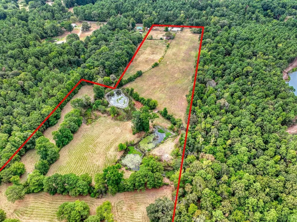 Single Family Residence For Sale in Anderson County , 4233 An County Road 163, Palestine, Texas 75801, 4 Bedroom, 2 Bathroom, 2 Garage spaces, 1,624 Sqft, built in 1900, mls#21381698, Real Estate Agent in Palestine, Homes For Sale in Anderson county, Homes For Sale in Palestine, Realtor in Palestine Texas, Real Estate Brokerage Independent Realty Texas, Luminita Cordes Realtor