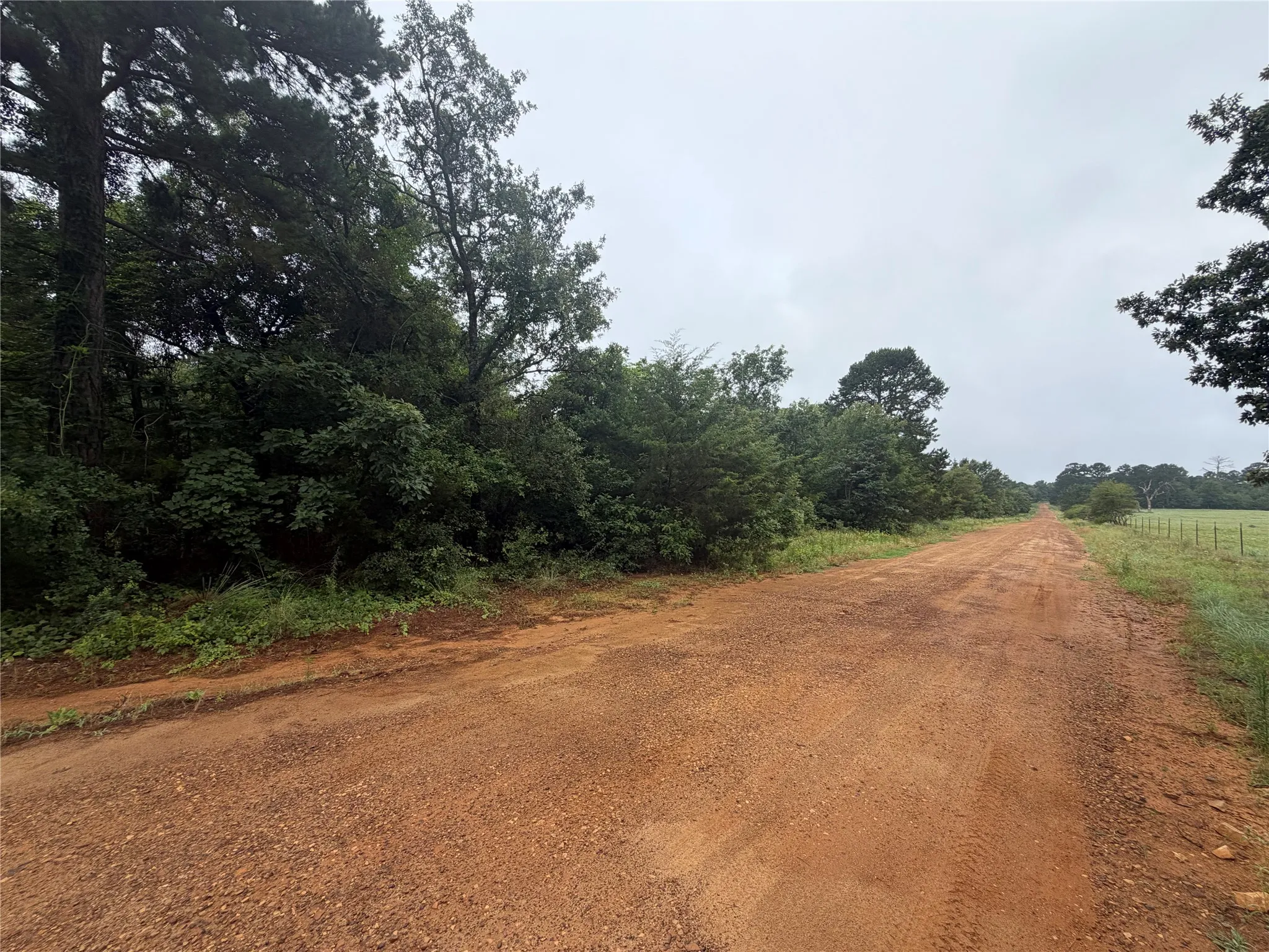 Unimproved Land For Sale in Wood County , TBD County Road 3999, Winnsboro, Texas 75494, 0, 0, Garage spaces, 0 Sqft, built in 0, mls#21381189, Real Estate Agent in Winnsboro, Homes For Sale in Wood county, Homes For Sale in Winnsboro, Realtor in Winnsboro Texas, Real Estate Brokerage Independent Realty Texas, Luminita Cordes Realtor
