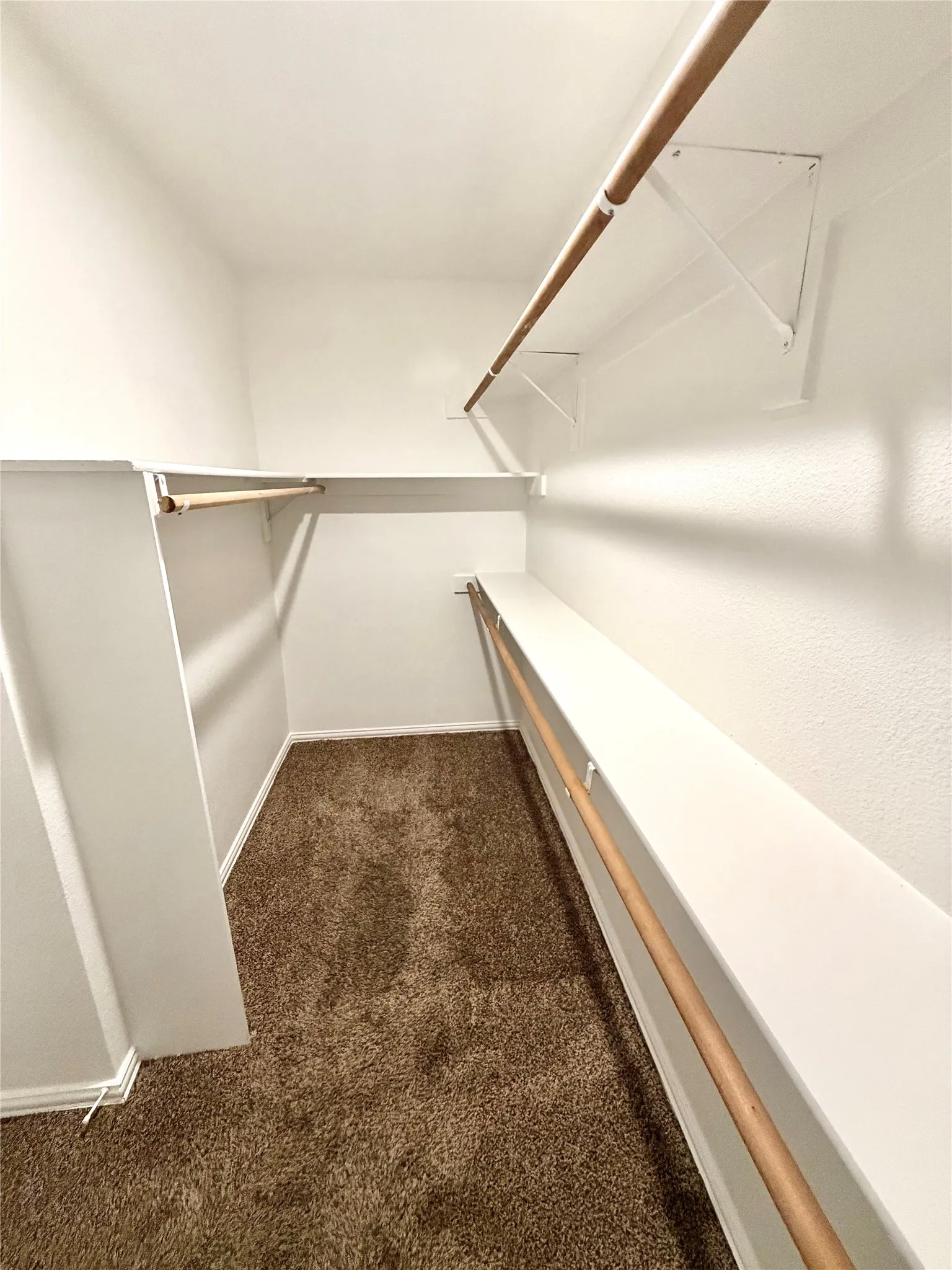 Primary Walk-in Closet