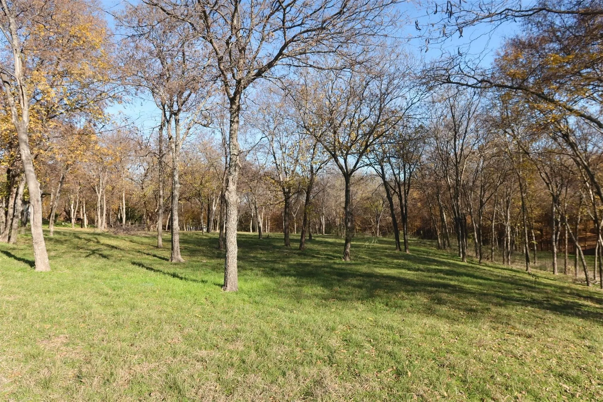 Unimproved Land For Sale in Denton County , 6537 Shoreline Drive, Little Elm, Texas 75068, 0, 0, Garage spaces, 0 Sqft, built in 0, mls#21381709, Real Estate Agent in Little Elm, Homes For Sale in Denton county, Homes For Sale in Little Elm, Realtor in Little Elm Texas, Real Estate Brokerage Independent Realty Texas, Luminita Cordes Realtor