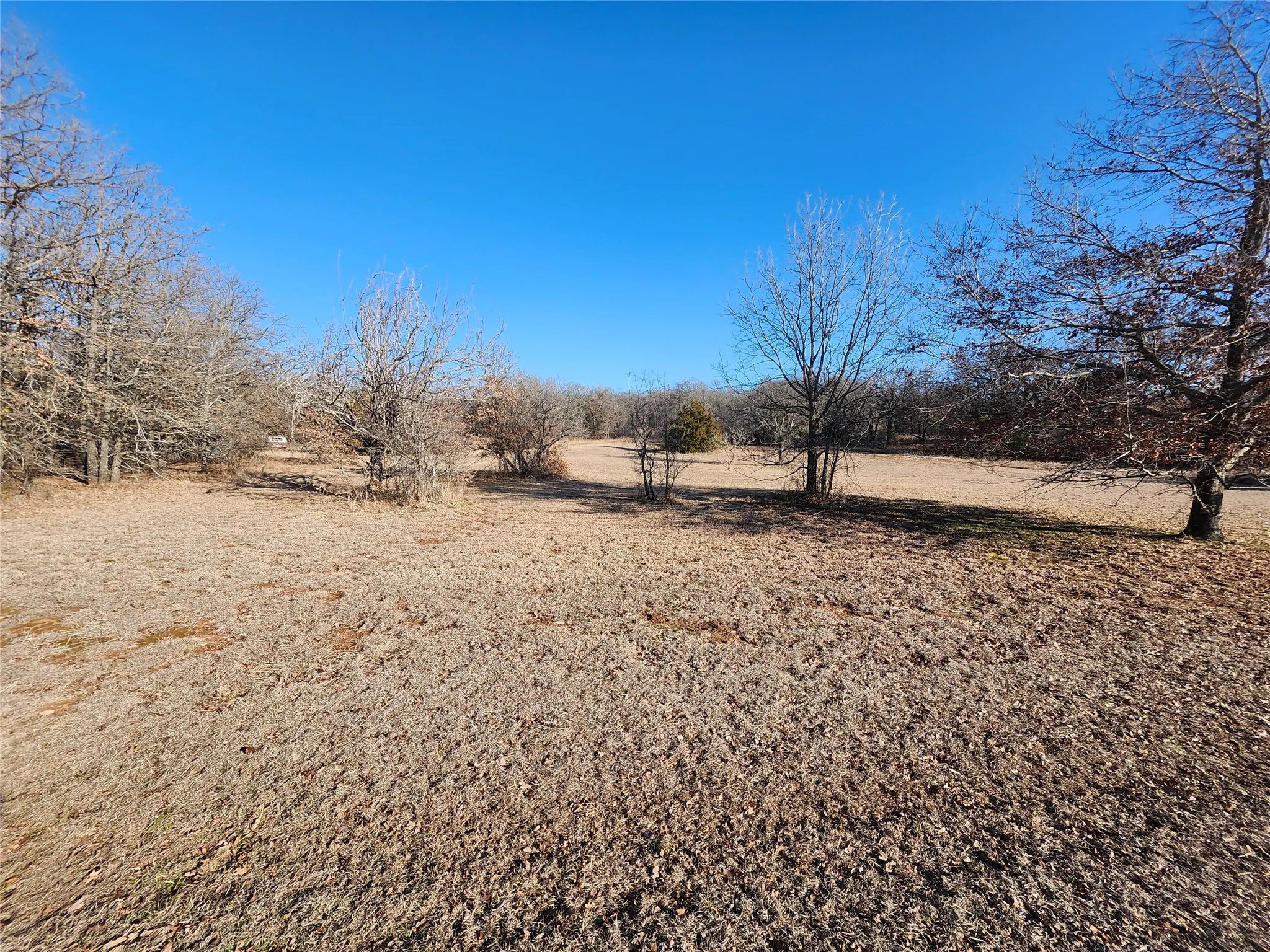 Unimproved Land For Sale in Montague County , 161 Nocona Drive, Nocona, Texas 76255, 0, 0, Garage spaces, 0 Sqft, built in 0, mls#21380396, Real Estate Agent in Nocona, Homes For Sale in Montague county, Homes For Sale in Nocona, Realtor in Nocona Texas, Real Estate Brokerage Independent Realty Texas, Luminita Cordes Realtor