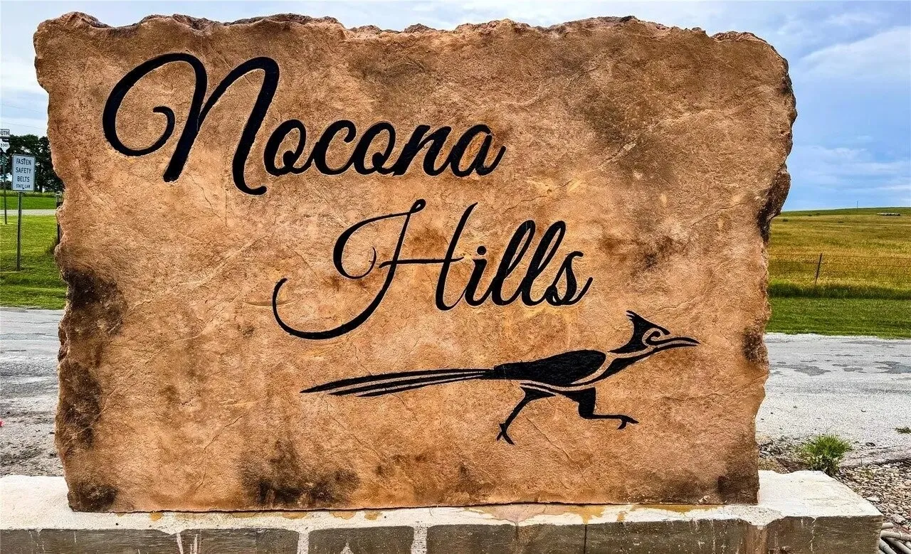 Unimproved Land For Sale in Montague County , 161 Nocona Drive, Nocona, Texas 76255, 0, 0, Garage spaces, 0 Sqft, built in 0, mls#21380396, Real Estate Agent in Nocona, Homes For Sale in Montague county, Homes For Sale in Nocona, Realtor in Nocona Texas, Real Estate Brokerage Independent Realty Texas, Luminita Cordes Realtor