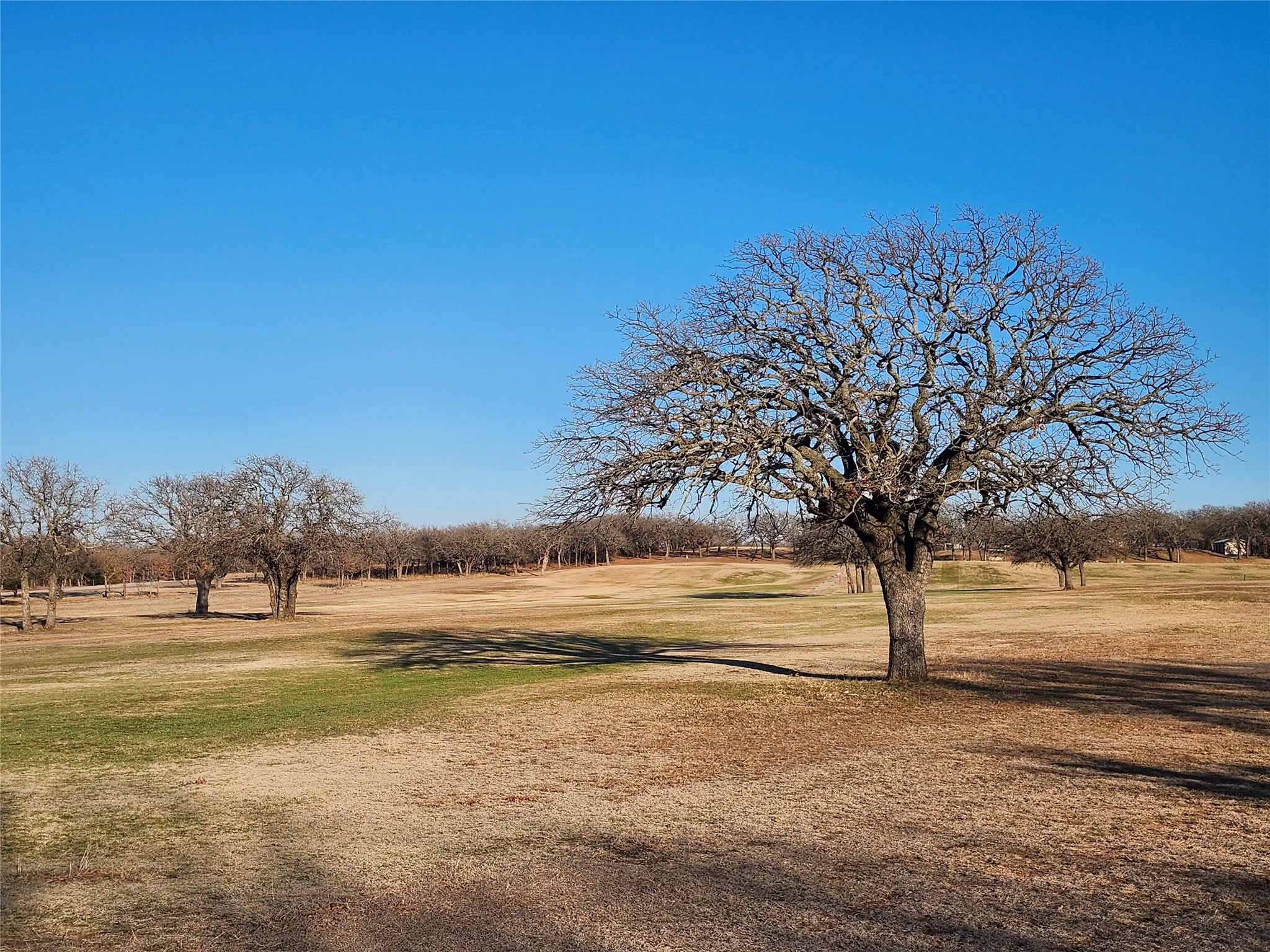 Unimproved Land For Sale in Montague County , 161 Nocona Drive, Nocona, Texas 76255, 0, 0, Garage spaces, 0 Sqft, built in 0, mls#21380396, Real Estate Agent in Nocona, Homes For Sale in Montague county, Homes For Sale in Nocona, Realtor in Nocona Texas, Real Estate Brokerage Independent Realty Texas, Luminita Cordes Realtor