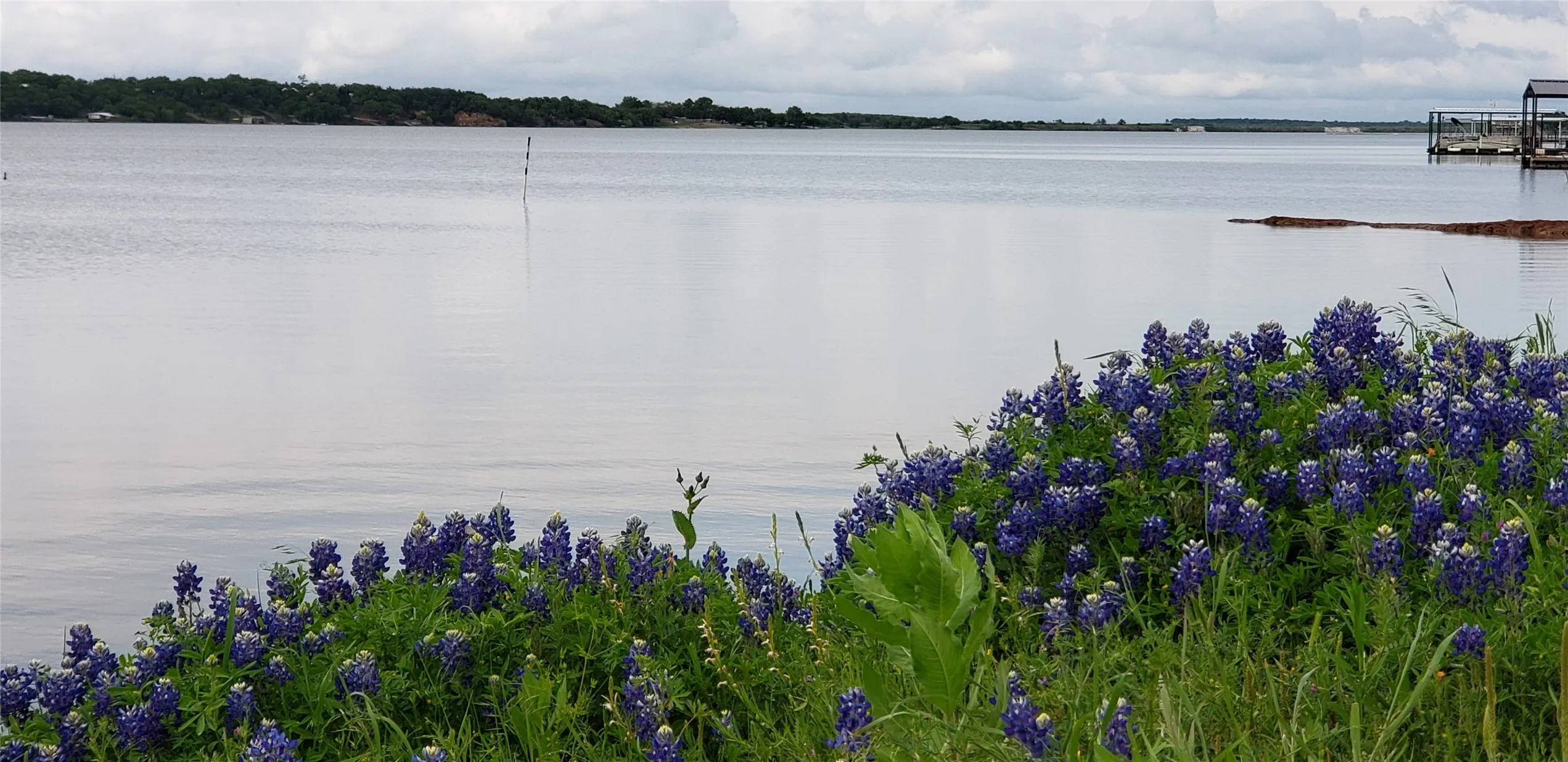 Unimproved Land For Sale in Montague County , 161 Nocona Drive, Nocona, Texas 76255, 0, 0, Garage spaces, 0 Sqft, built in 0, mls#21380396, Real Estate Agent in Nocona, Homes For Sale in Montague county, Homes For Sale in Nocona, Realtor in Nocona Texas, Real Estate Brokerage Independent Realty Texas, Luminita Cordes Realtor