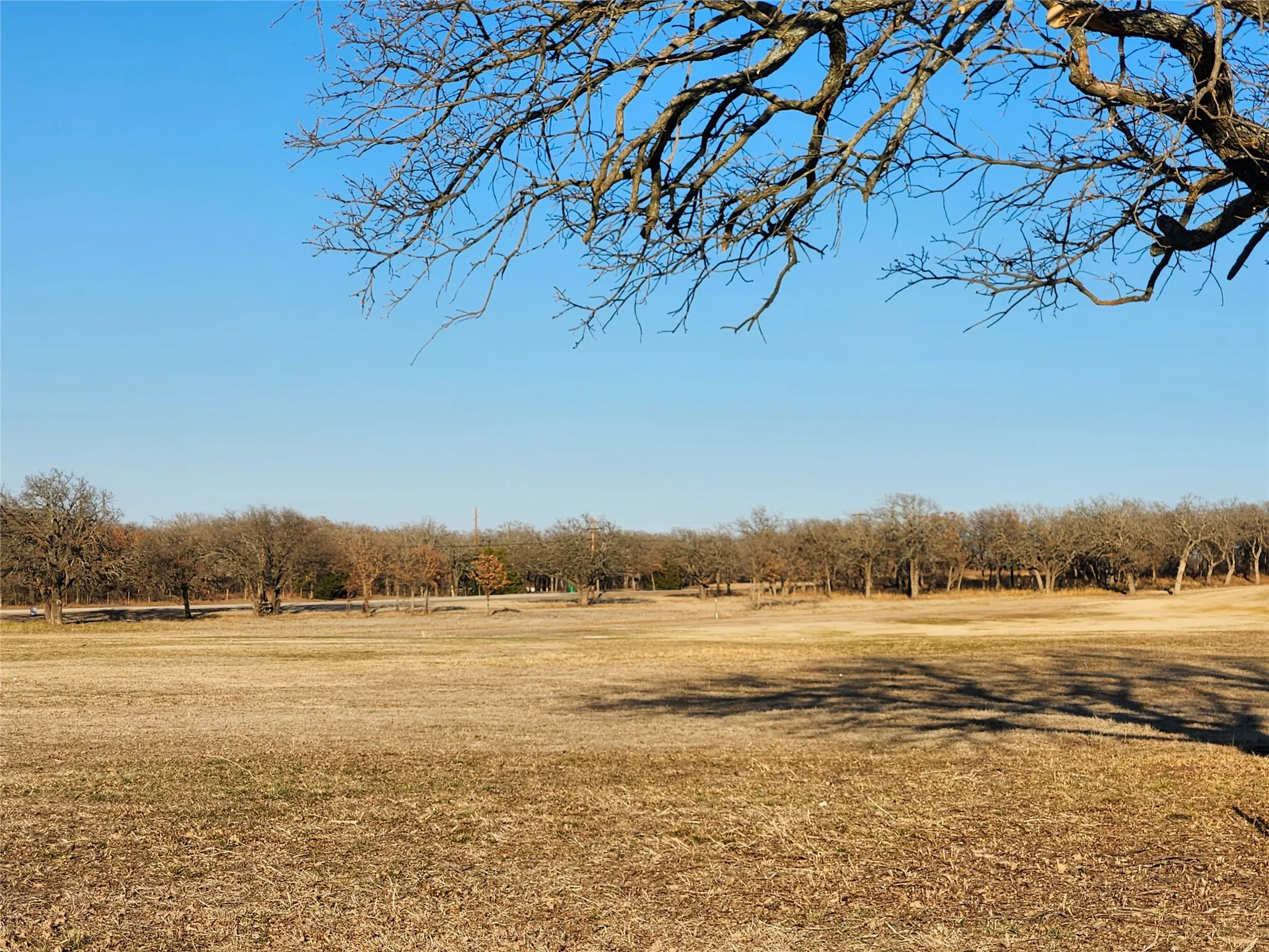Unimproved Land For Sale in Montague County , 161 Nocona Drive, Nocona, Texas 76255, 0, 0, Garage spaces, 0 Sqft, built in 0, mls#21380396, Real Estate Agent in Nocona, Homes For Sale in Montague county, Homes For Sale in Nocona, Realtor in Nocona Texas, Real Estate Brokerage Independent Realty Texas, Luminita Cordes Realtor