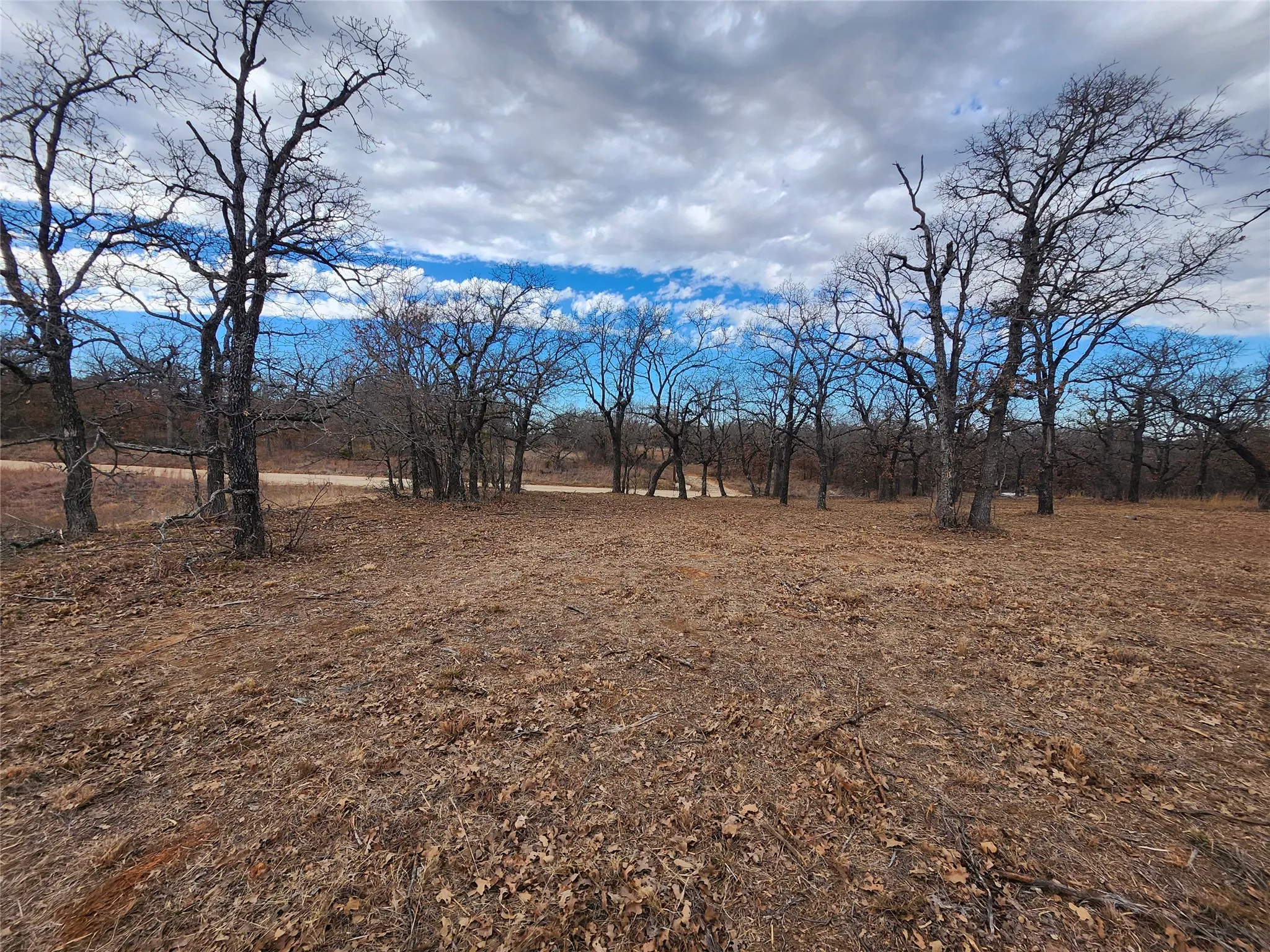 Unimproved Land For Sale in Montague County , 161 Nocona Drive, Nocona, Texas 76255, 0, 0, Garage spaces, 0 Sqft, built in 0, mls#21380396, Real Estate Agent in Nocona, Homes For Sale in Montague county, Homes For Sale in Nocona, Realtor in Nocona Texas, Real Estate Brokerage Independent Realty Texas, Luminita Cordes Realtor