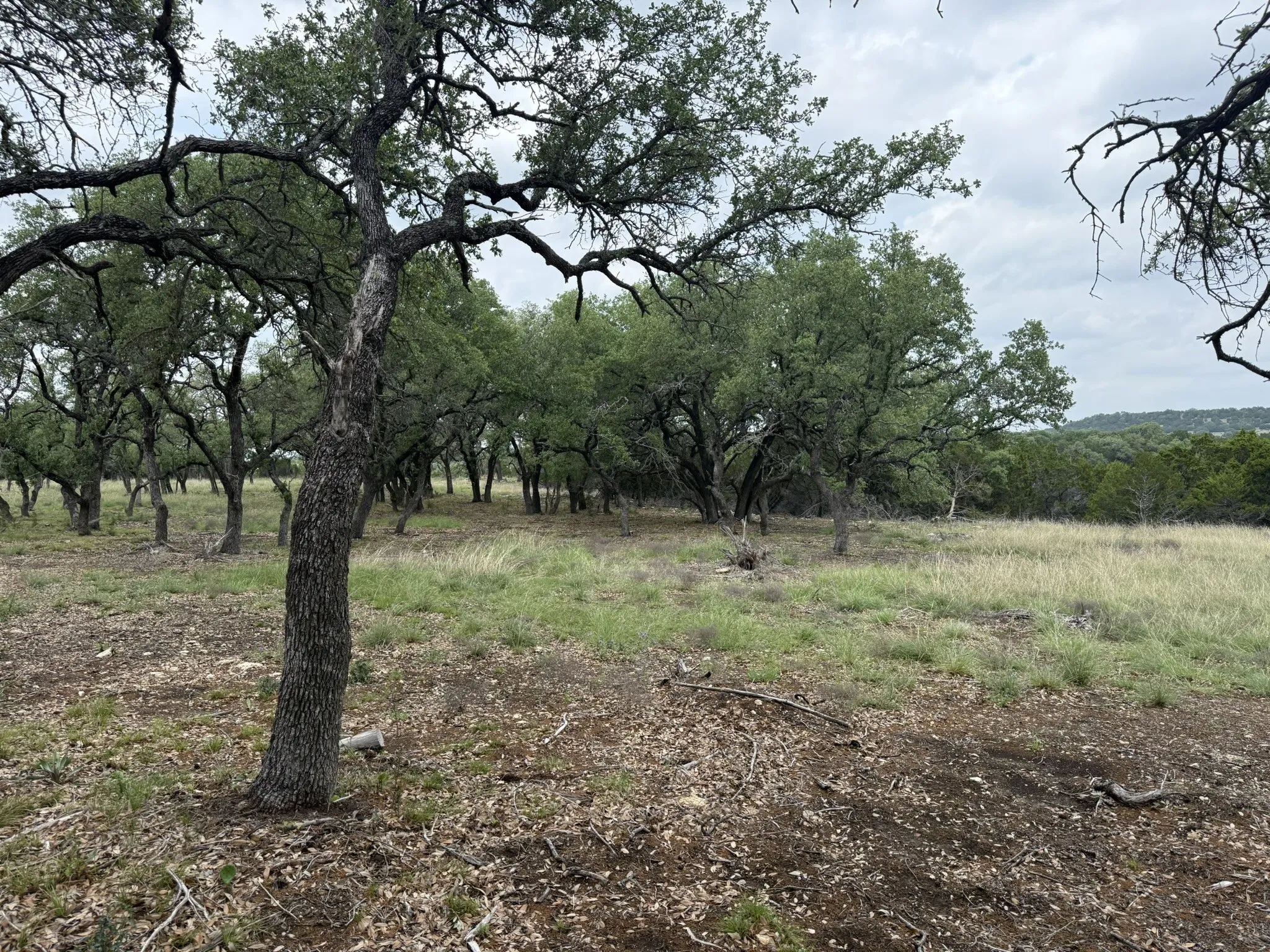 Improved Land For Sale in Lampasas County , 518 County Road 1403, Lometa, Texas 76853, 0, 0, Garage spaces, 0 Sqft, built in 0, mls#21380845, Real Estate Agent in Lometa, Homes For Sale in Lampasas county, Homes For Sale in Lometa, Realtor in Lometa Texas, Real Estate Brokerage Independent Realty Texas, Luminita Cordes Realtor
