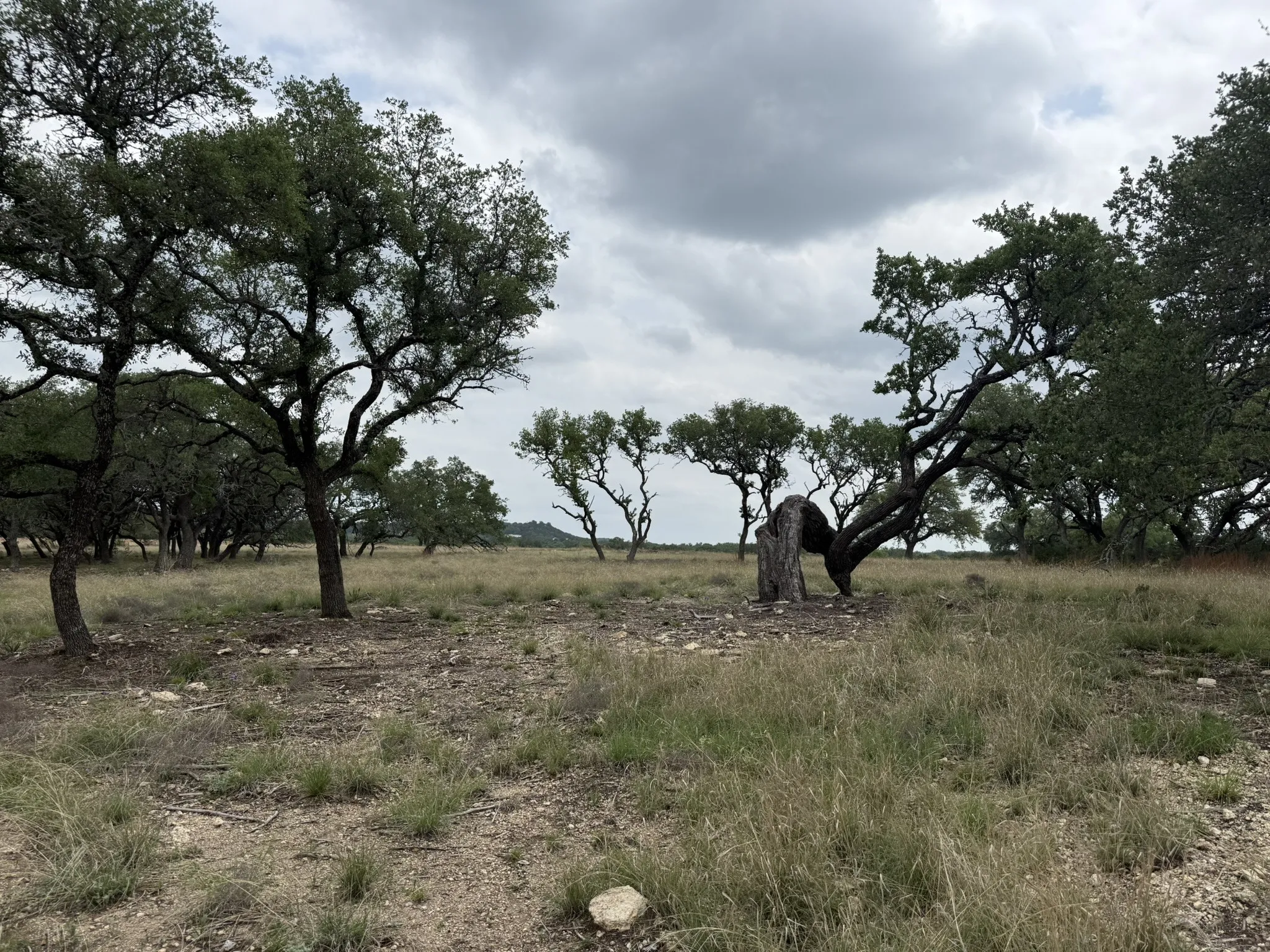 Improved Land For Sale in Lampasas County , 518 County Road 1403, Lometa, Texas 76853, 0, 0, Garage spaces, 0 Sqft, built in 0, mls#21380845, Real Estate Agent in Lometa, Homes For Sale in Lampasas county, Homes For Sale in Lometa, Realtor in Lometa Texas, Real Estate Brokerage Independent Realty Texas, Luminita Cordes Realtor