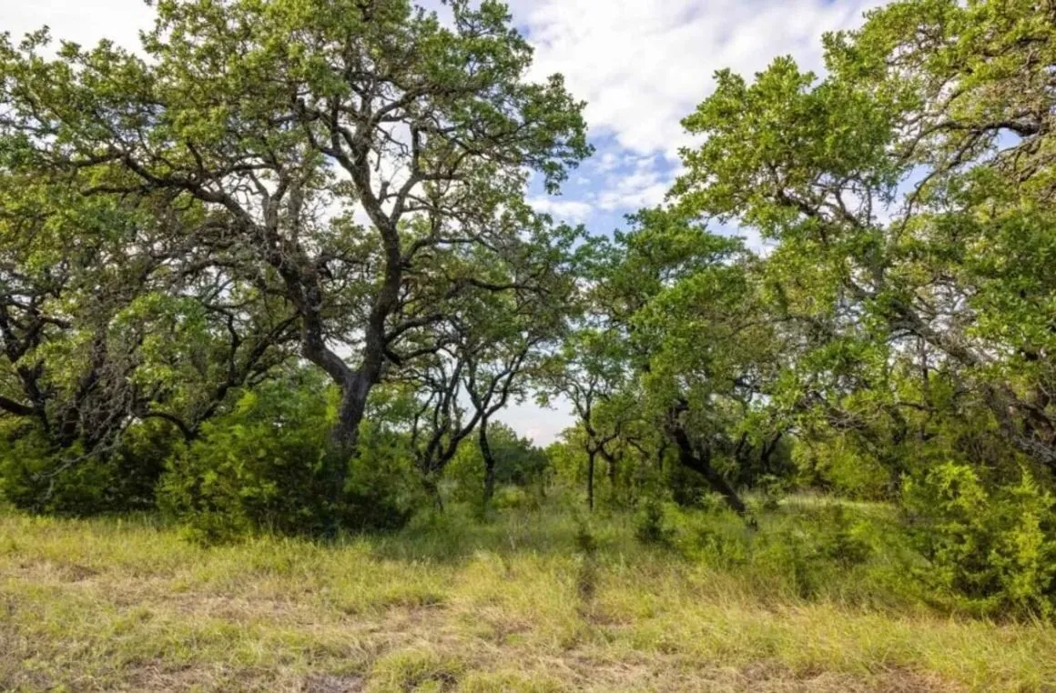 Improved Land For Sale in Lampasas County , 518 County Road 1403, Lometa, Texas 76853, 0, 0, Garage spaces, 0 Sqft, built in 0, mls#21380845, Real Estate Agent in Lometa, Homes For Sale in Lampasas county, Homes For Sale in Lometa, Realtor in Lometa Texas, Real Estate Brokerage Independent Realty Texas, Luminita Cordes Realtor