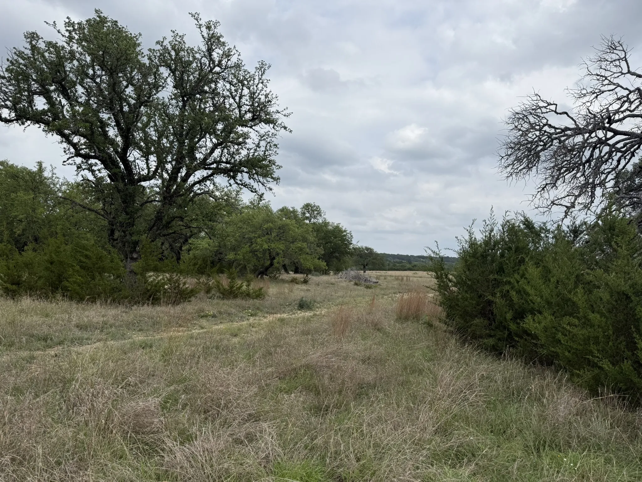 Improved Land For Sale in Lampasas County , 518 County Road 1403, Lometa, Texas 76853, 0, 0, Garage spaces, 0 Sqft, built in 0, mls#21380845, Real Estate Agent in Lometa, Homes For Sale in Lampasas county, Homes For Sale in Lometa, Realtor in Lometa Texas, Real Estate Brokerage Independent Realty Texas, Luminita Cordes Realtor