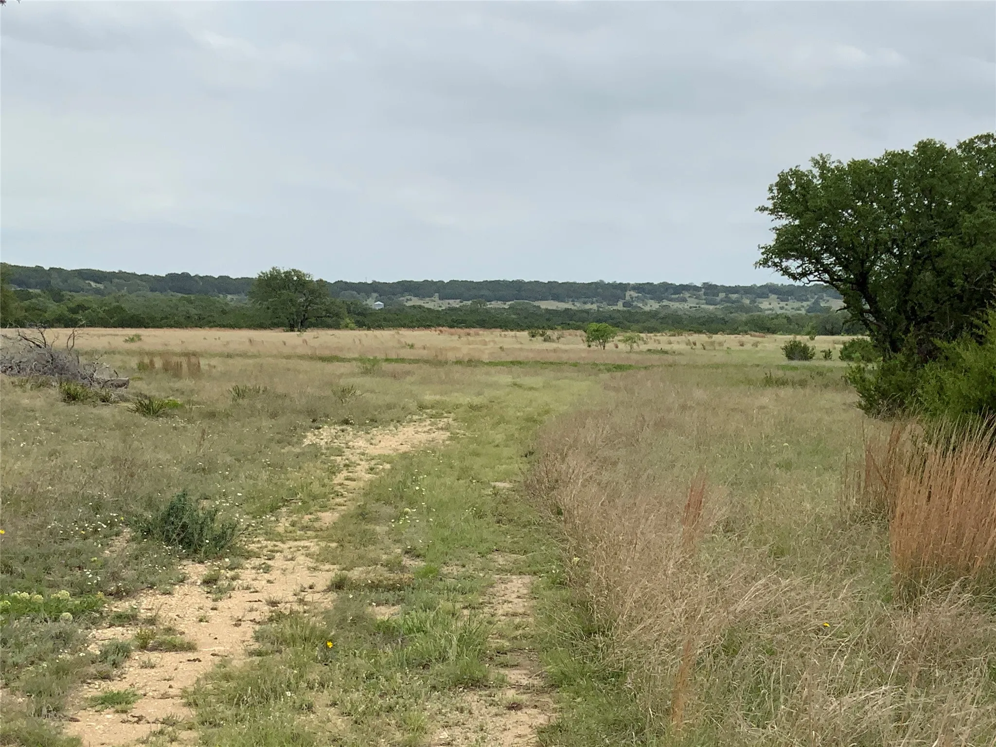 Improved Land For Sale in Lampasas County , 518 County Road 1403, Lometa, Texas 76853, 0, 0, Garage spaces, 0 Sqft, built in 0, mls#21380845, Real Estate Agent in Lometa, Homes For Sale in Lampasas county, Homes For Sale in Lometa, Realtor in Lometa Texas, Real Estate Brokerage Independent Realty Texas, Luminita Cordes Realtor