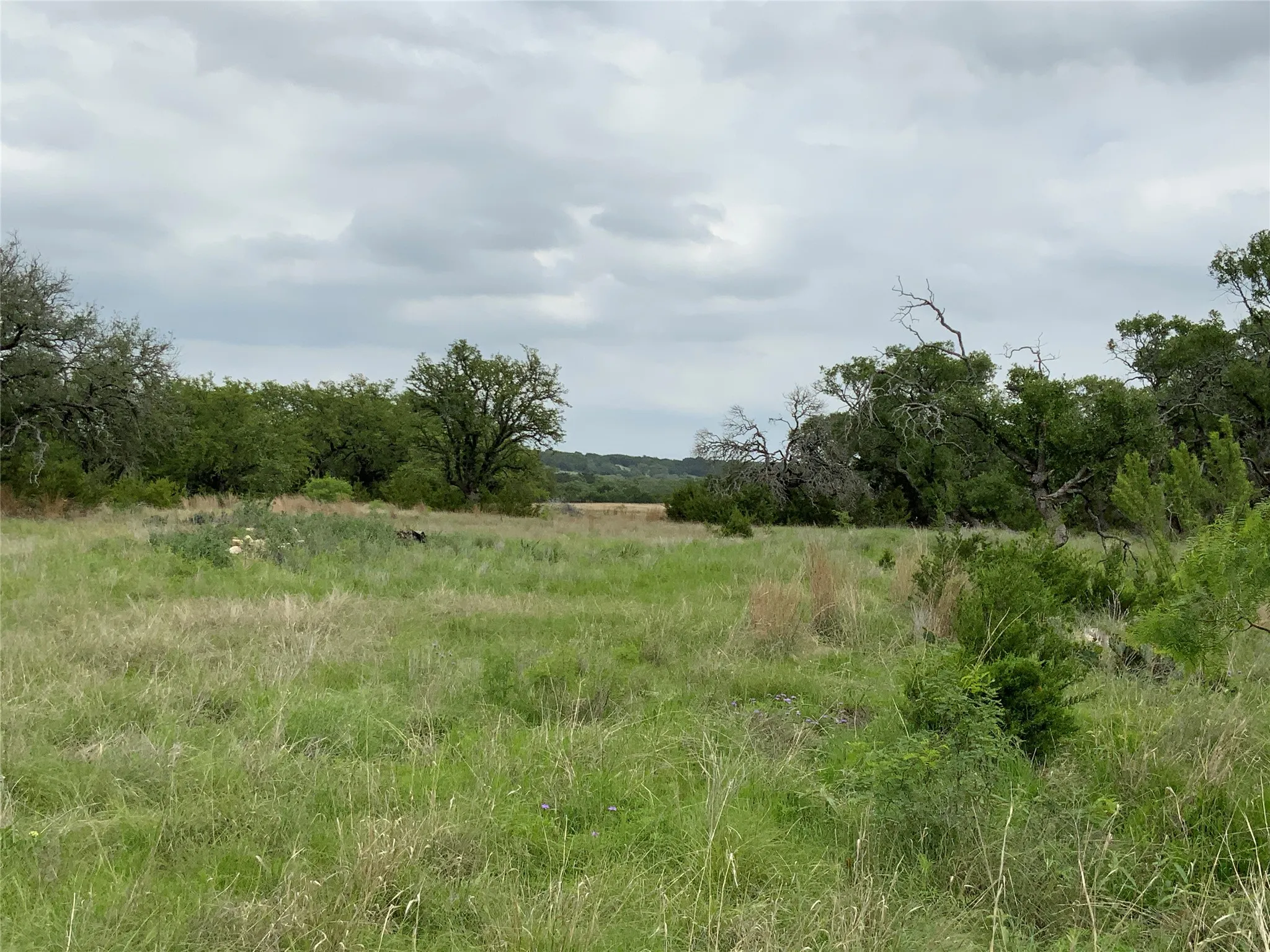 Improved Land For Sale in Lampasas County , 518 County Road 1403, Lometa, Texas 76853, 0, 0, Garage spaces, 0 Sqft, built in 0, mls#21380845, Real Estate Agent in Lometa, Homes For Sale in Lampasas county, Homes For Sale in Lometa, Realtor in Lometa Texas, Real Estate Brokerage Independent Realty Texas, Luminita Cordes Realtor