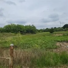 Unimproved Land For Sale in Johnson County , 2312 W FM 917, Joshua, Texas 76058, 0, 0, Garage spaces, 0 Sqft, built in 0, mls#21381668, Real Estate Agent in Joshua, Homes For Sale in Johnson county, Homes For Sale in Joshua, Realtor in Joshua Texas, Real Estate Brokerage Independent Realty Texas, Luminita Cordes Realtor
