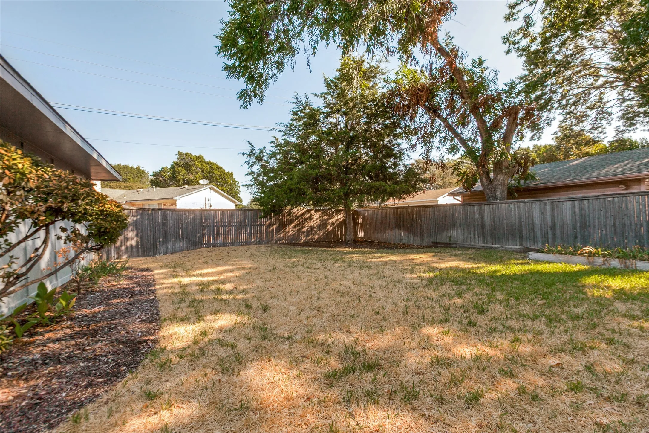 Expansive backyard featuring mature trees and a wooden privacy fence