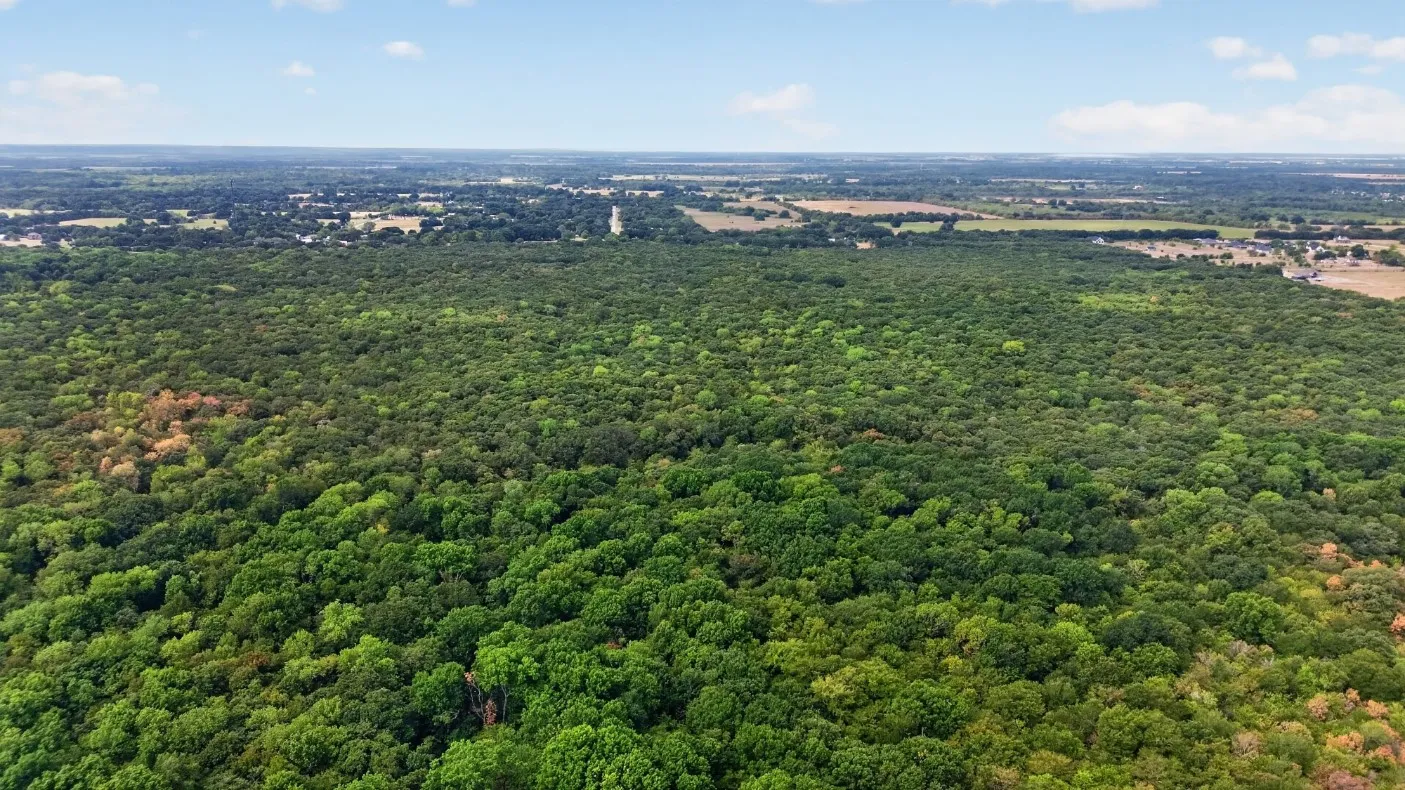 Unimproved Land For Sale in Kaufman County , 0 FM 1389, Combine, Texas 75159, 0, 0, Garage spaces, 0 Sqft, built in 0, mls#21381428, Real Estate Agent in Combine, Homes For Sale in Kaufman county, Homes For Sale in Combine, Realtor in Combine Texas, Real Estate Brokerage Independent Realty Texas, Luminita Cordes Realtor