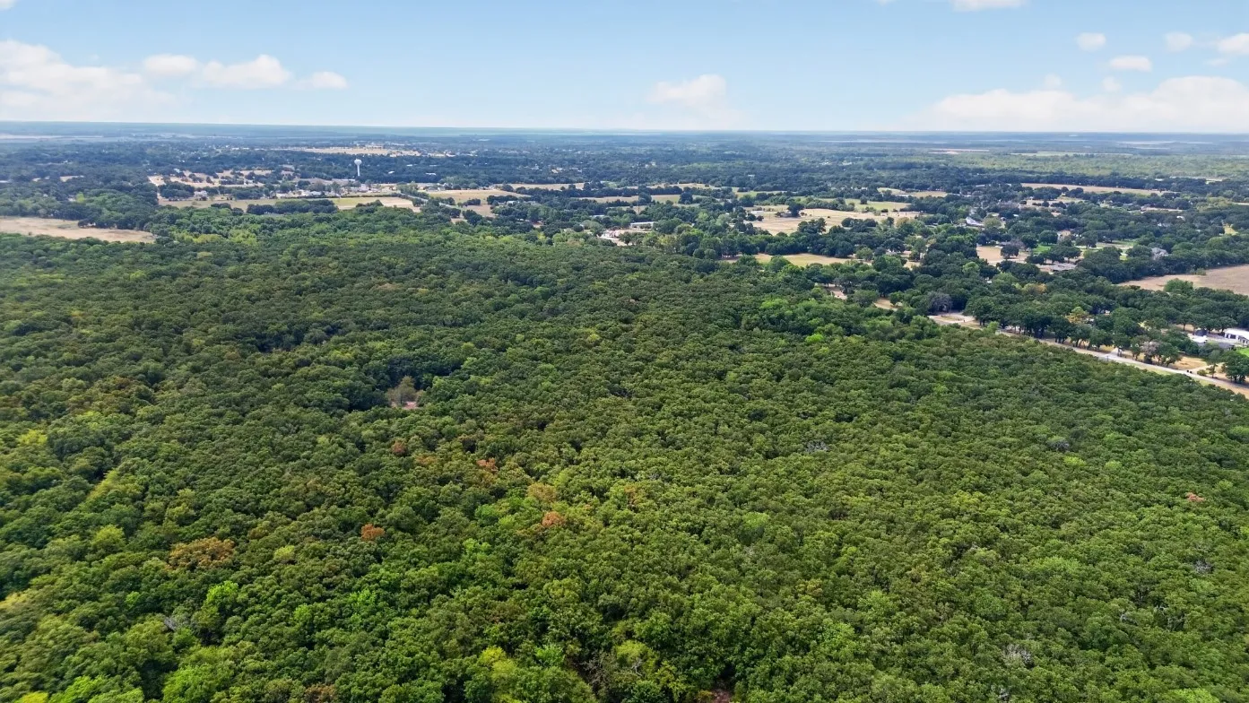 Unimproved Land For Sale in Kaufman County , 0 FM 1389, Combine, Texas 75159, 0, 0, Garage spaces, 0 Sqft, built in 0, mls#21381428, Real Estate Agent in Combine, Homes For Sale in Kaufman county, Homes For Sale in Combine, Realtor in Combine Texas, Real Estate Brokerage Independent Realty Texas, Luminita Cordes Realtor