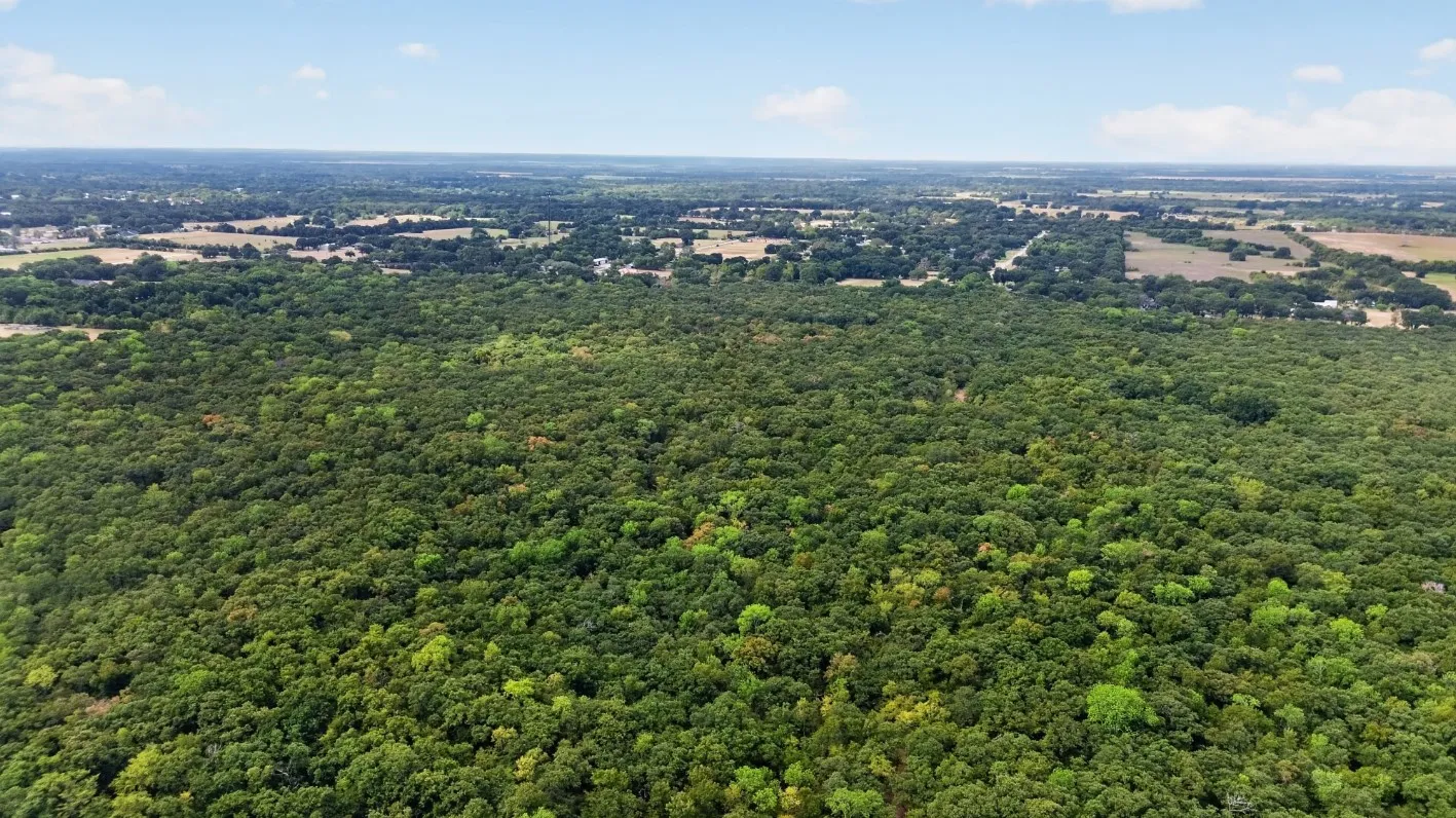 Unimproved Land For Sale in Kaufman County , 0 FM 1389, Combine, Texas 75159, 0, 0, Garage spaces, 0 Sqft, built in 0, mls#21381428, Real Estate Agent in Combine, Homes For Sale in Kaufman county, Homes For Sale in Combine, Realtor in Combine Texas, Real Estate Brokerage Independent Realty Texas, Luminita Cordes Realtor