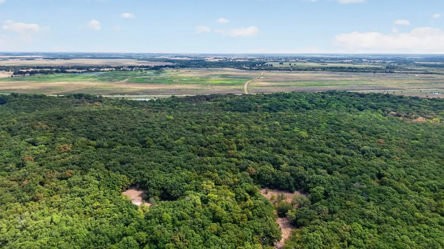 Unimproved Land For Sale in Kaufman County , 0 FM 1389, Combine, Texas 75159, 0, 0, Garage spaces, 0 Sqft, built in 0, mls#21381428, Real Estate Agent in Combine, Homes For Sale in Kaufman county, Homes For Sale in Combine, Realtor in Combine Texas, Real Estate Brokerage Independent Realty Texas, Luminita Cordes Realtor
