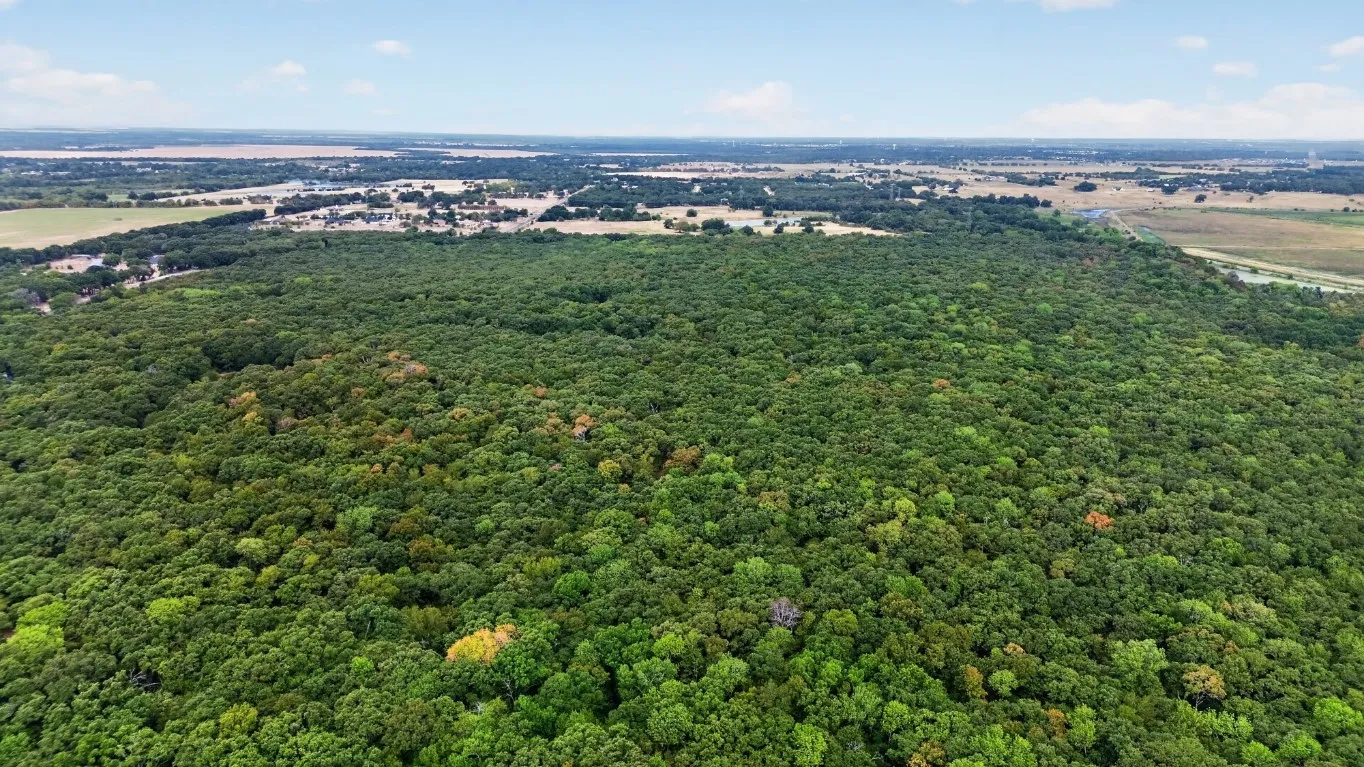 Unimproved Land For Sale in Kaufman County , 0 FM 1389, Combine, Texas 75159, 0, 0, Garage spaces, 0 Sqft, built in 0, mls#21381428, Real Estate Agent in Combine, Homes For Sale in Kaufman county, Homes For Sale in Combine, Realtor in Combine Texas, Real Estate Brokerage Independent Realty Texas, Luminita Cordes Realtor