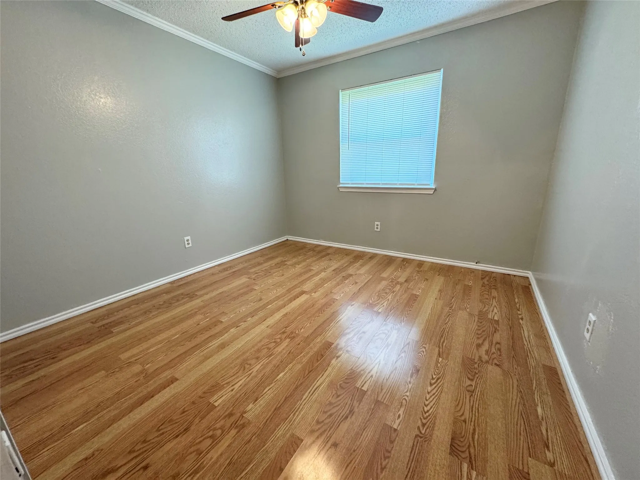 back bedroom