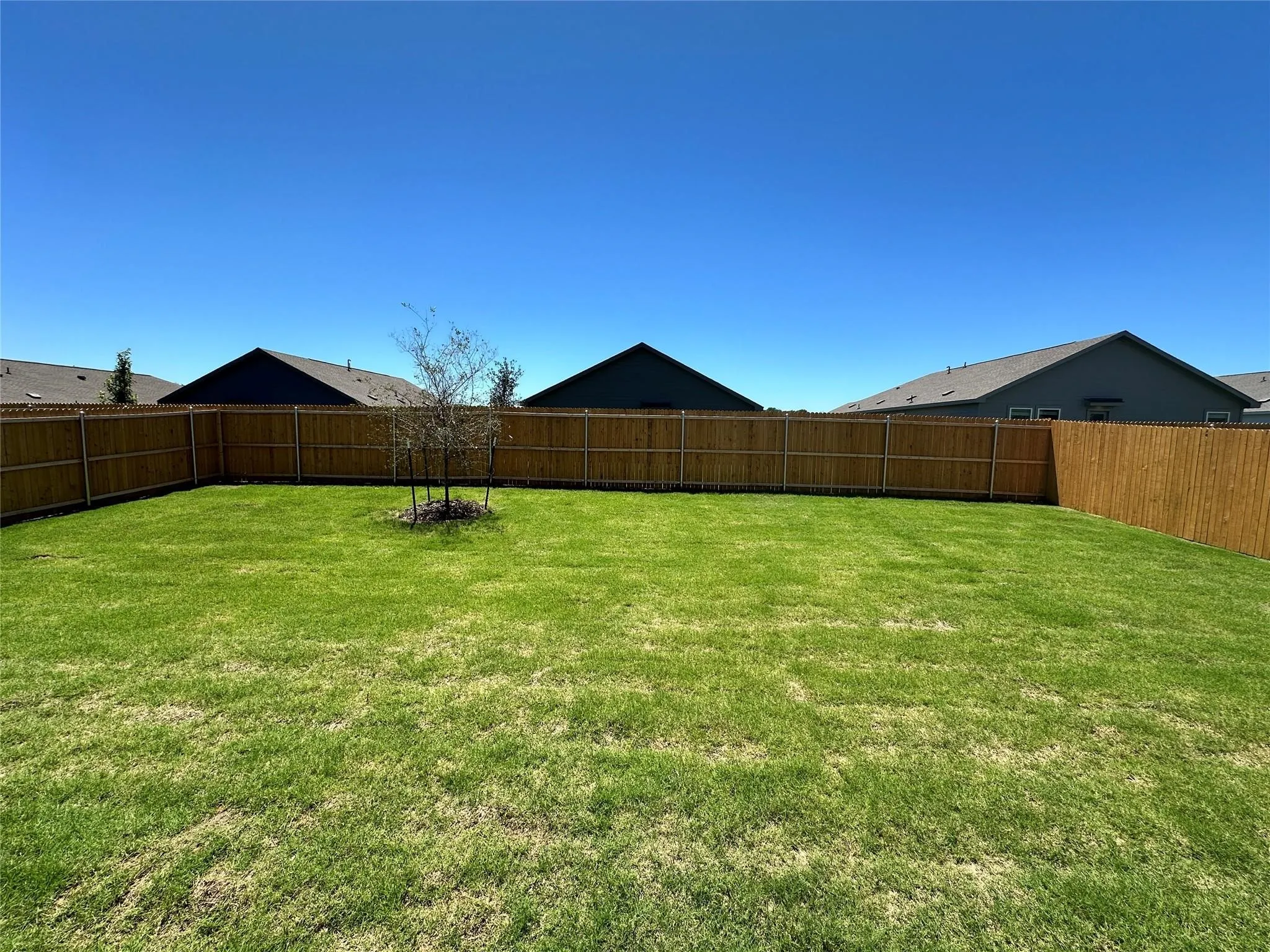 Single Family Residence For Sale in Grayson County , 3610 Scarlet Sage Way, Sherman, Texas 75092, 3 Bedroom, 2 Bathroom, 2 Garage spaces, 1,412 Sqft, built in 2025, mls#21381837, Real Estate Agent in Sherman, Homes For Sale in Grayson county, Homes For Sale in Sherman, Realtor in Sherman Texas, Real Estate Brokerage Independent Realty Texas, Luminita Cordes Realtor